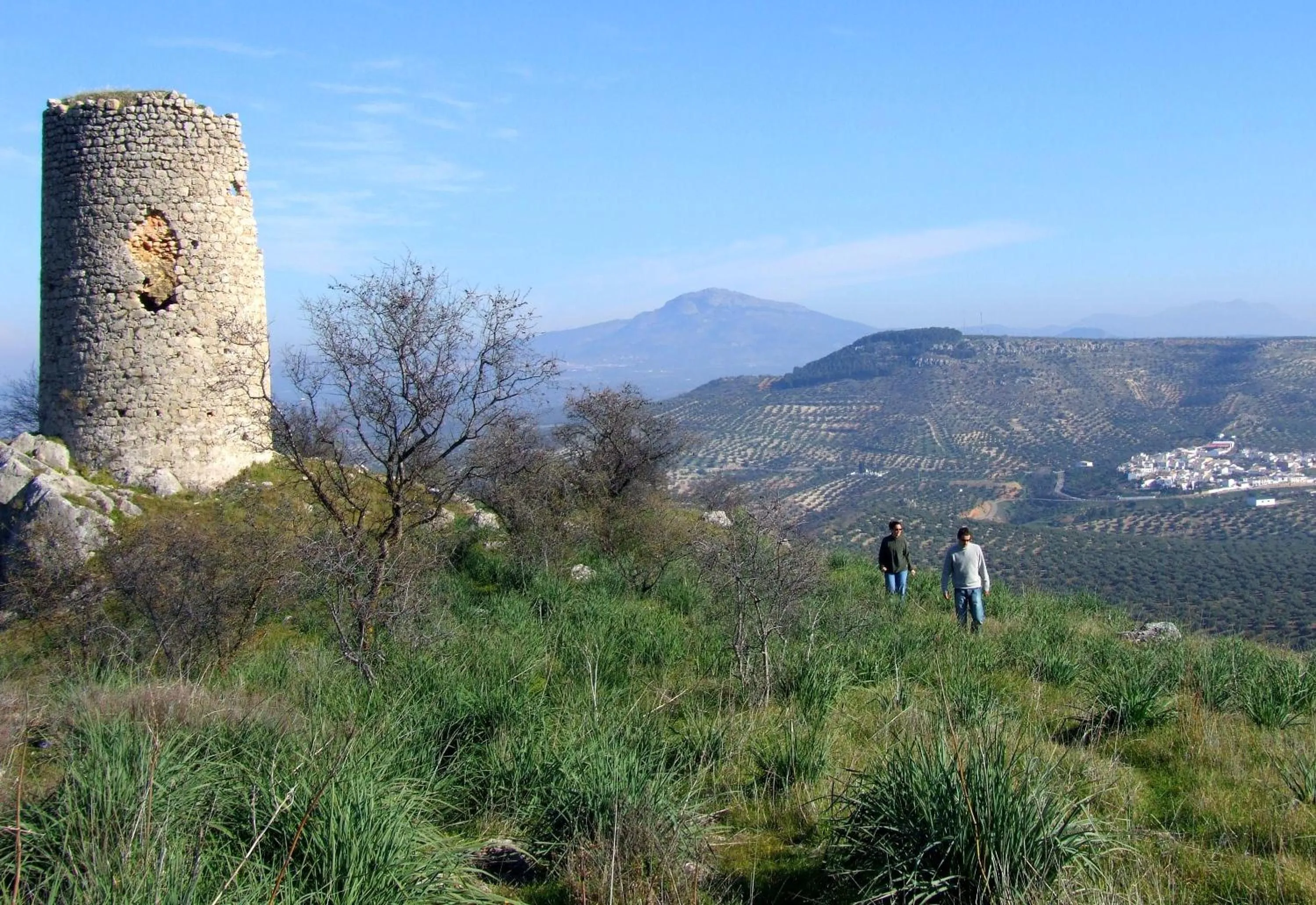 View (from property/room) in Casa Olea