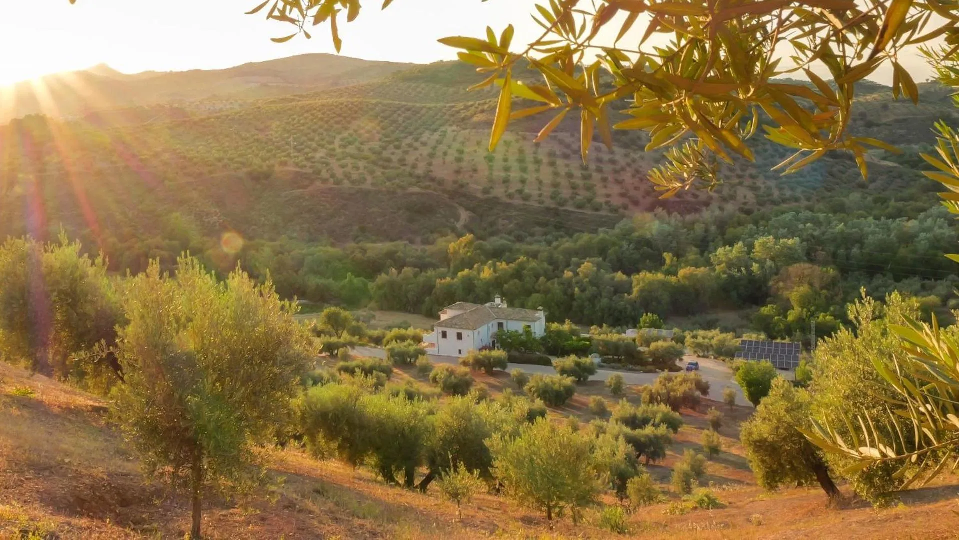 Natural landscape in Casa Olea