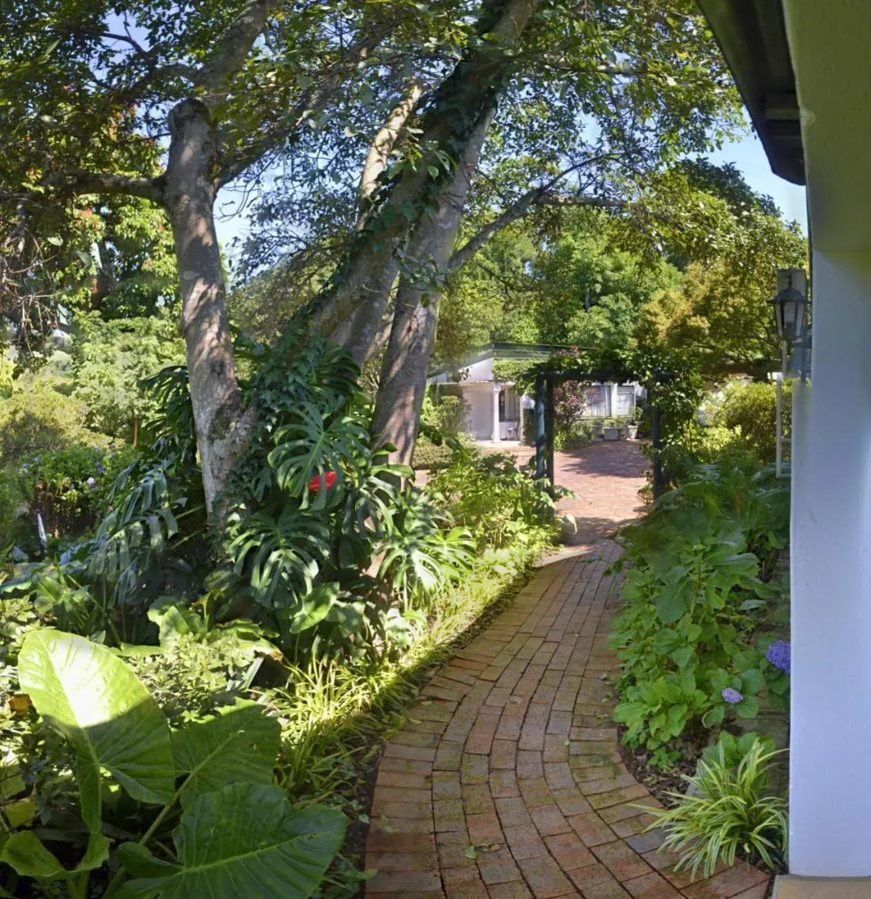 Brevisbrook B&B Brevisbrook B&B