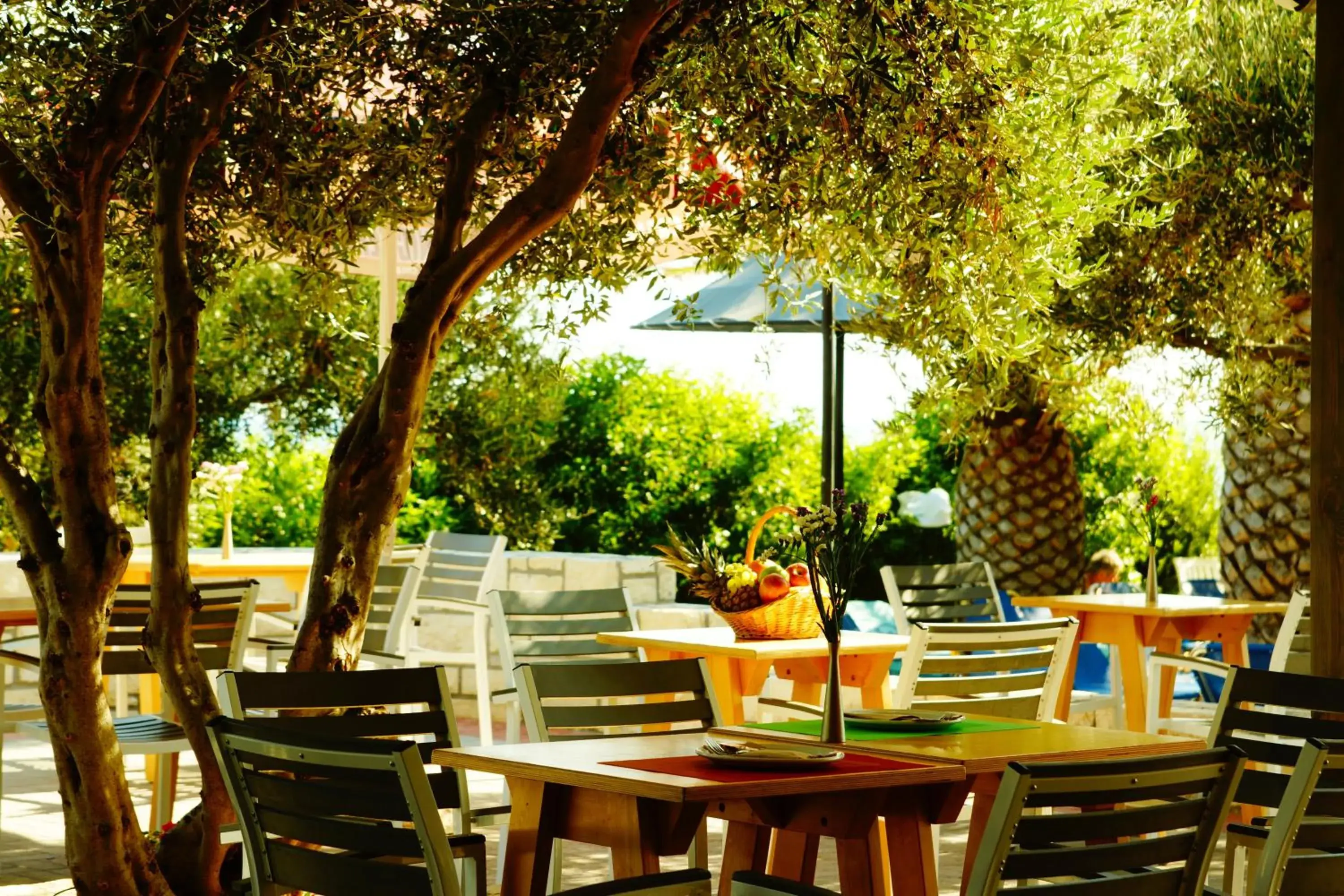 Restaurant/places to eat in Mediterraneo Hotel Restaurant/places to eat in Mediterraneo Hotel