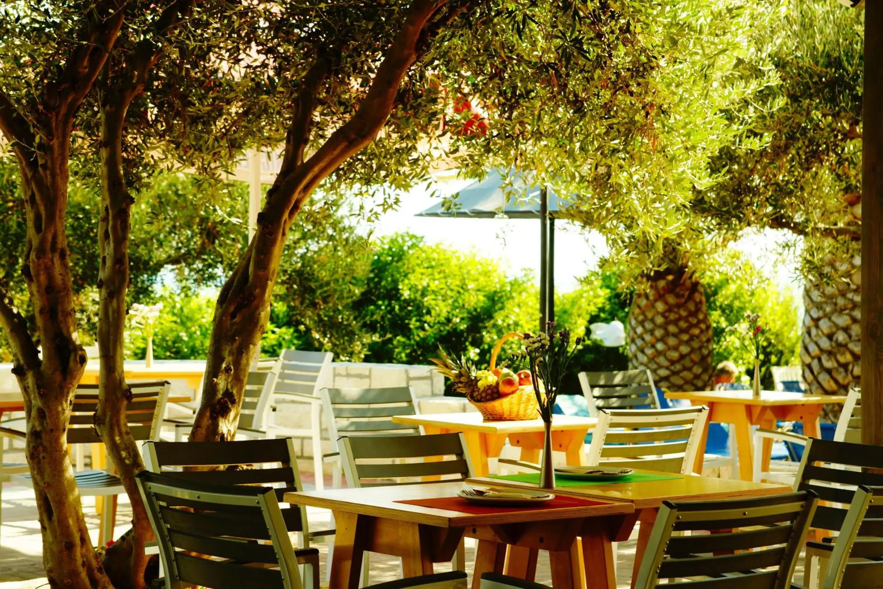 Restaurant/places to eat in Mediterraneo Hotel Restaurant/places to eat in Mediterraneo Hotel