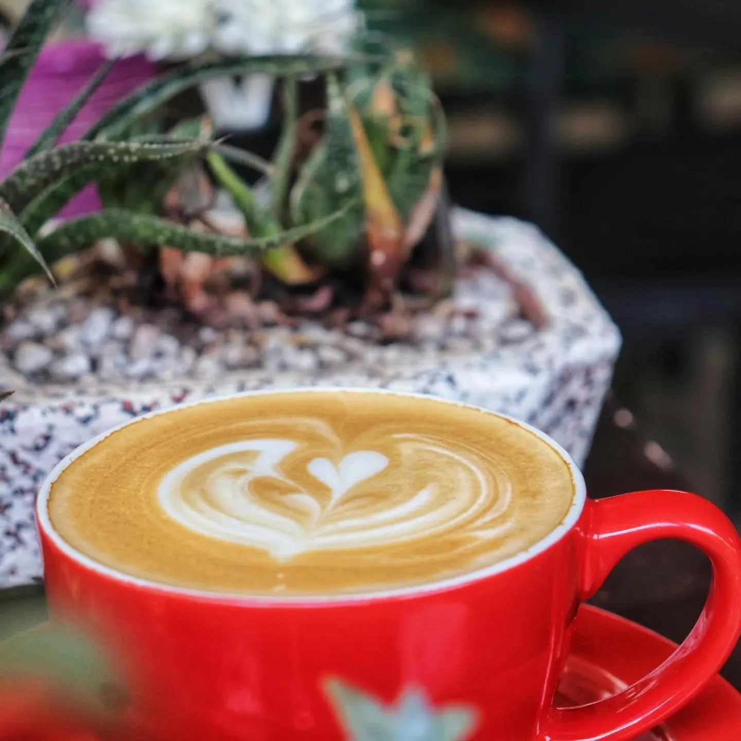 Restaurant/places to eat in Alona Pawikan