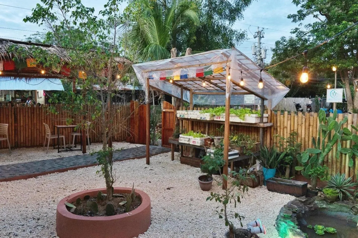 Restaurant/places to eat in Alona Pawikan