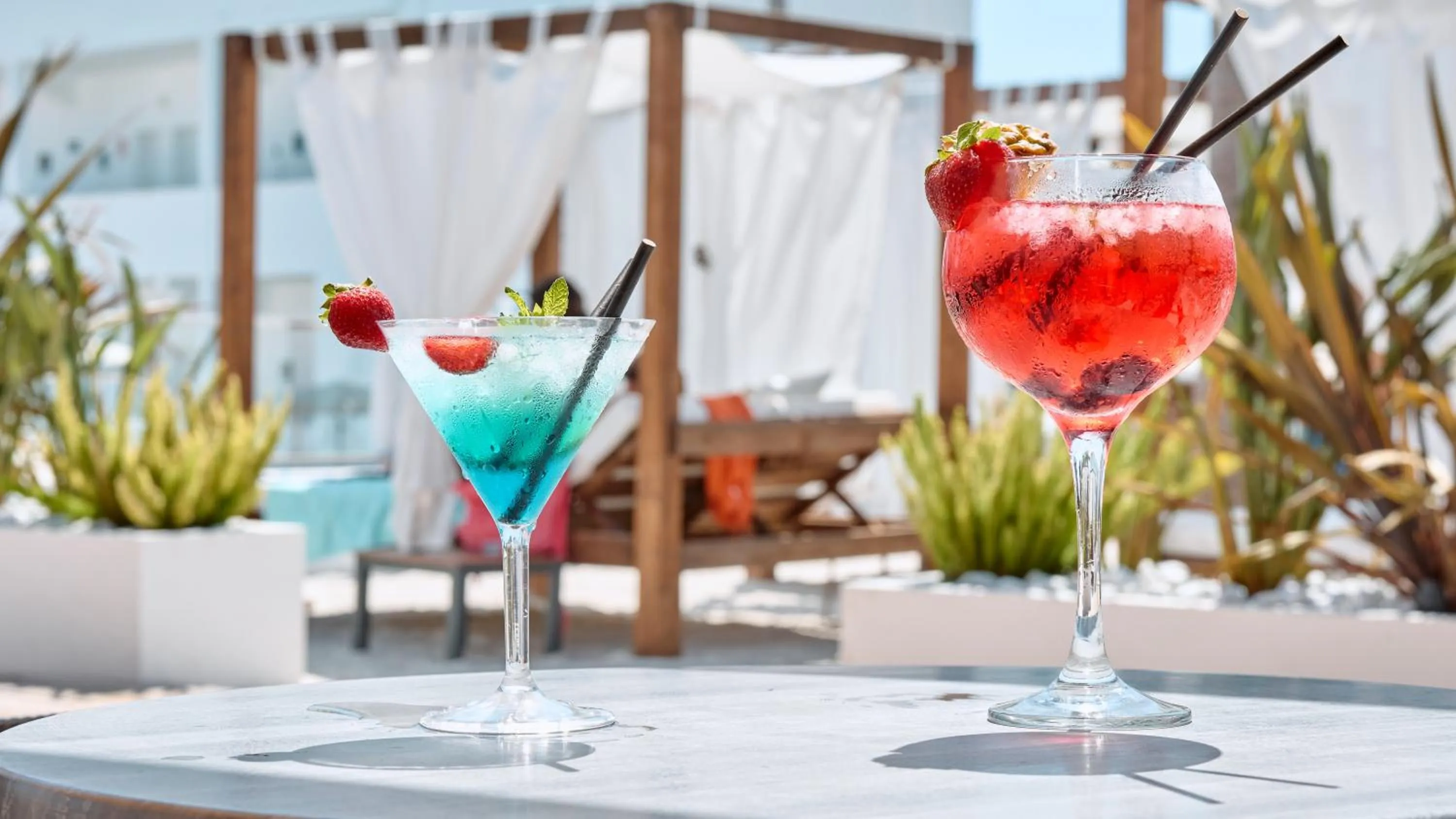 Drinks in Hotel Ankaa - Adults Only