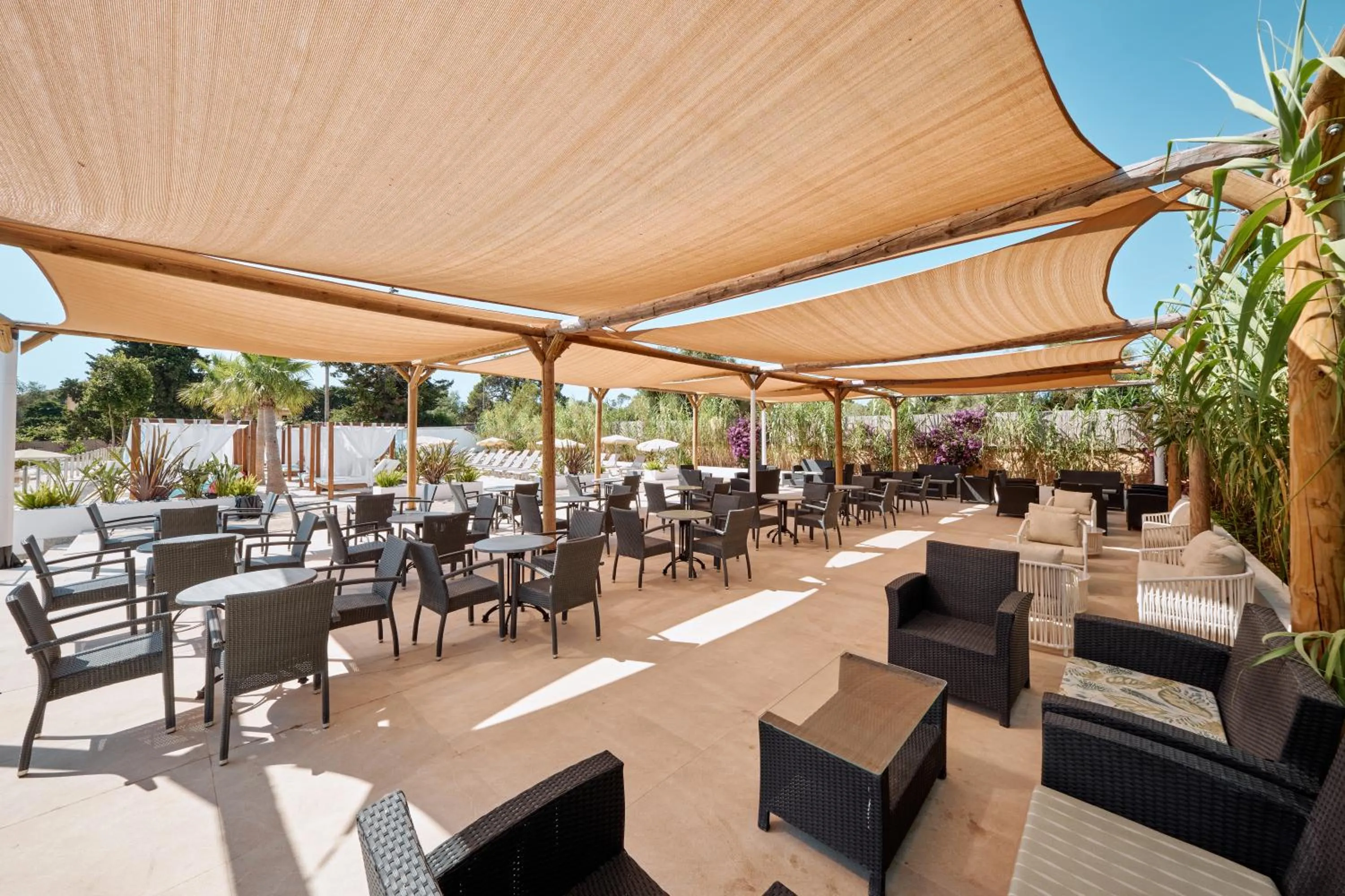 Balcony/Terrace in Hotel Ankaa - Adults Only