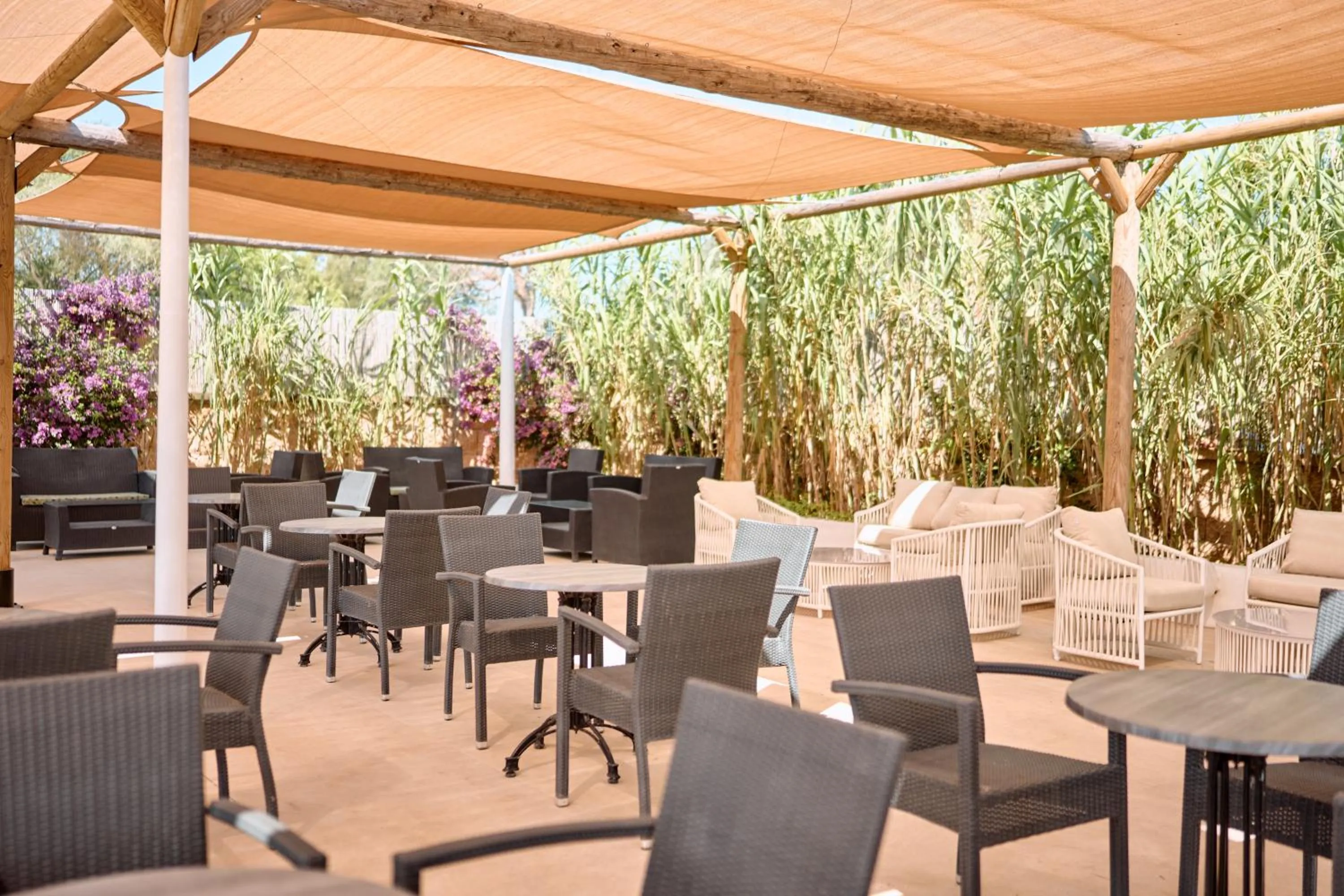 Balcony/Terrace in Hotel Ankaa - Adults Only