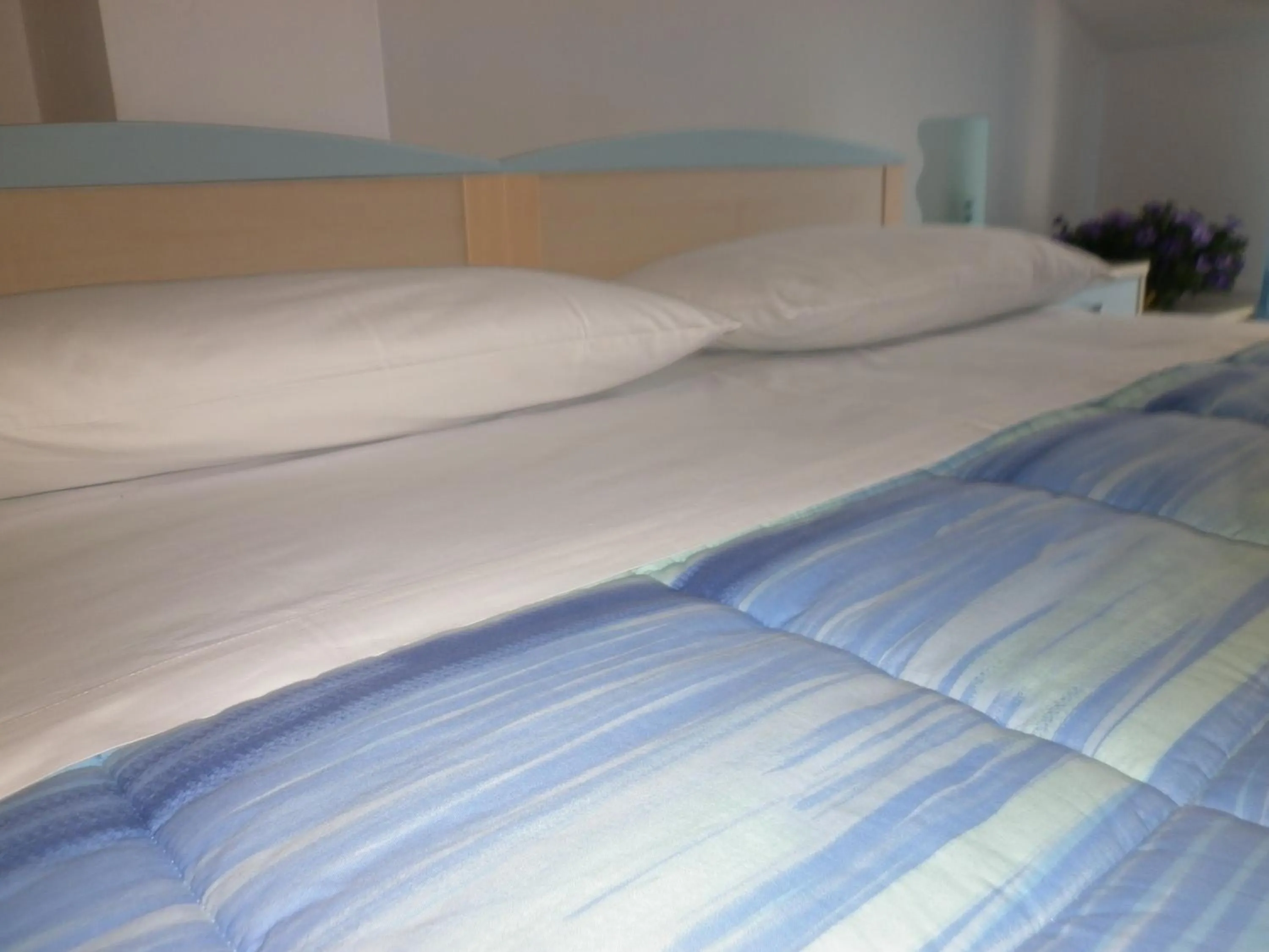 Double or Twin Room with Private Bathroom - single occupancy in La Roccia