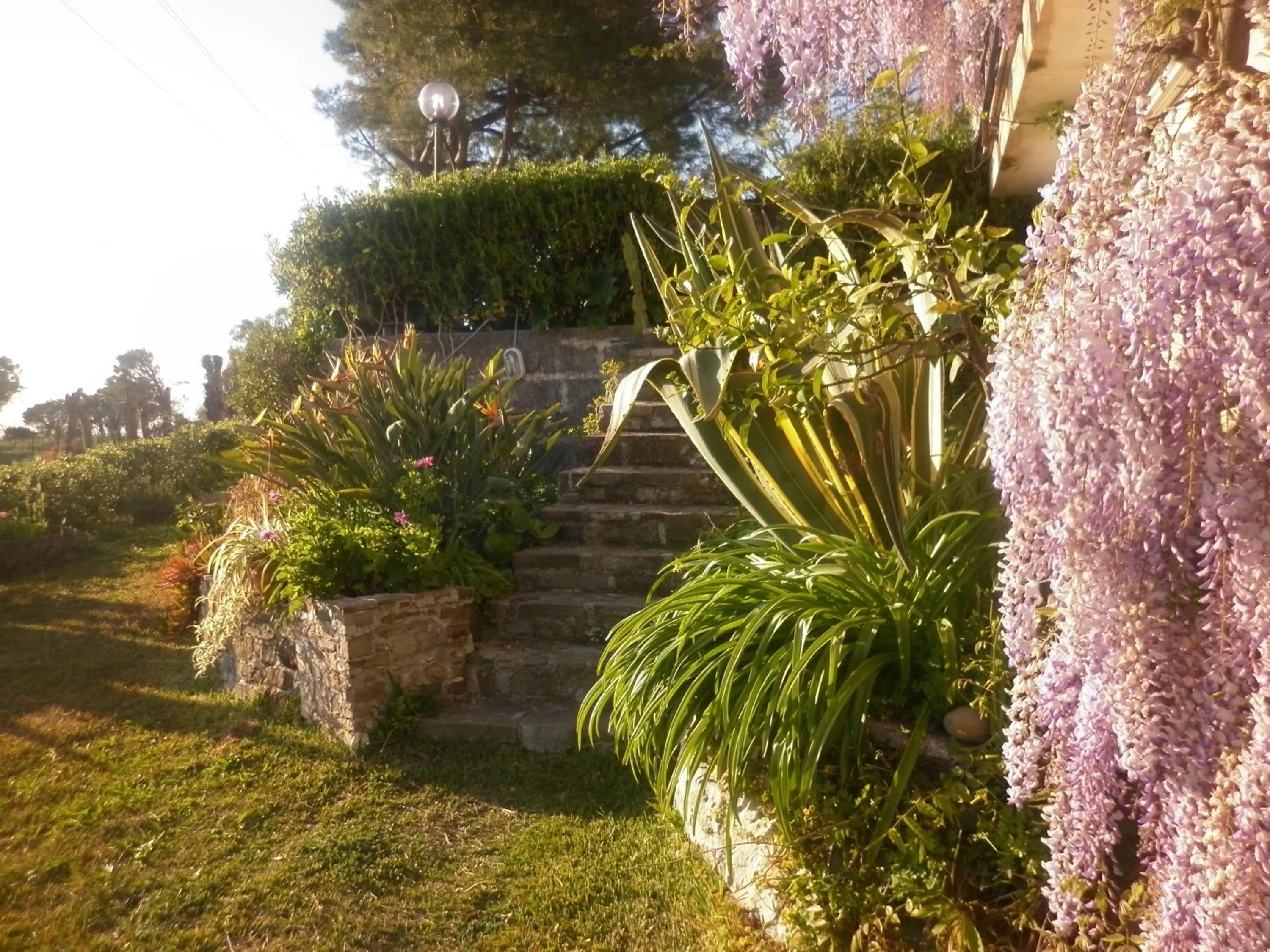 La Roccia