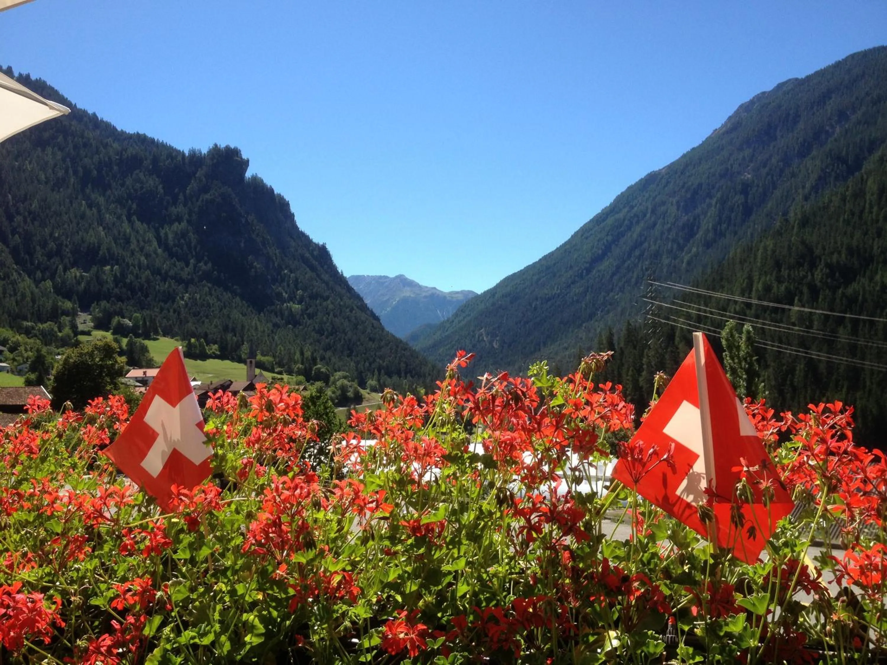 View (from property/room) in Hotel Schöntal