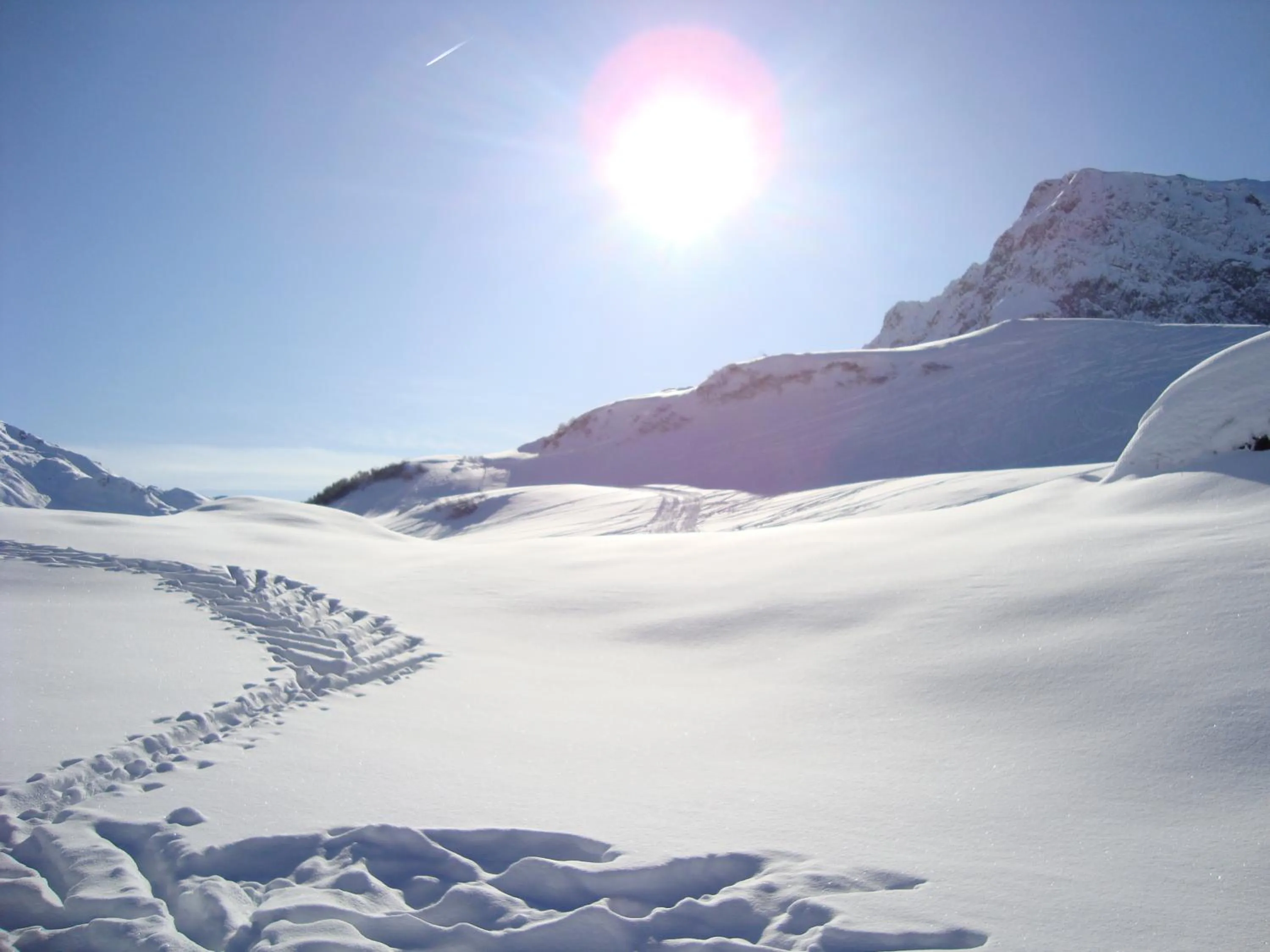 Area and facilities in Hotel Edelweiss