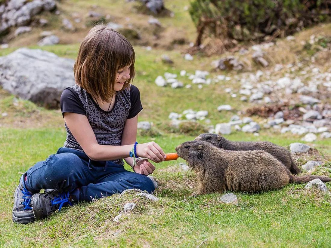 Summer in Landhotel Alpenhof Filzmoos