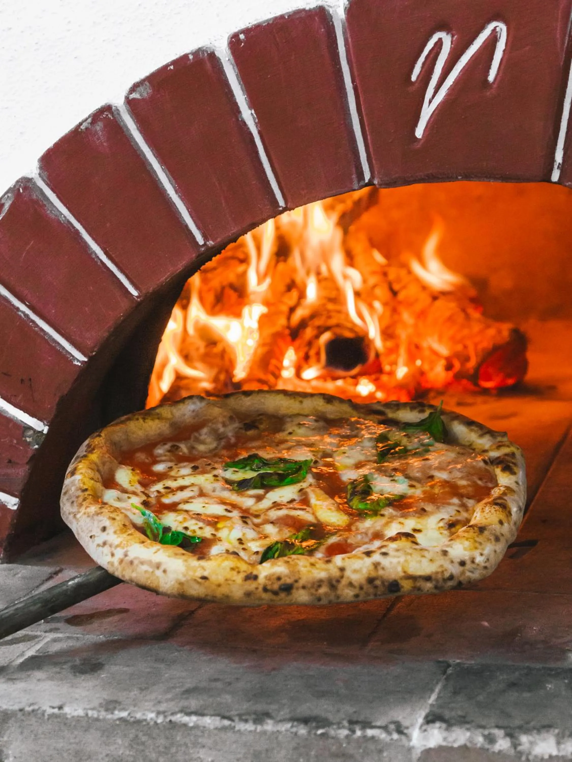 Restaurant/places to eat in Il Gabbiano