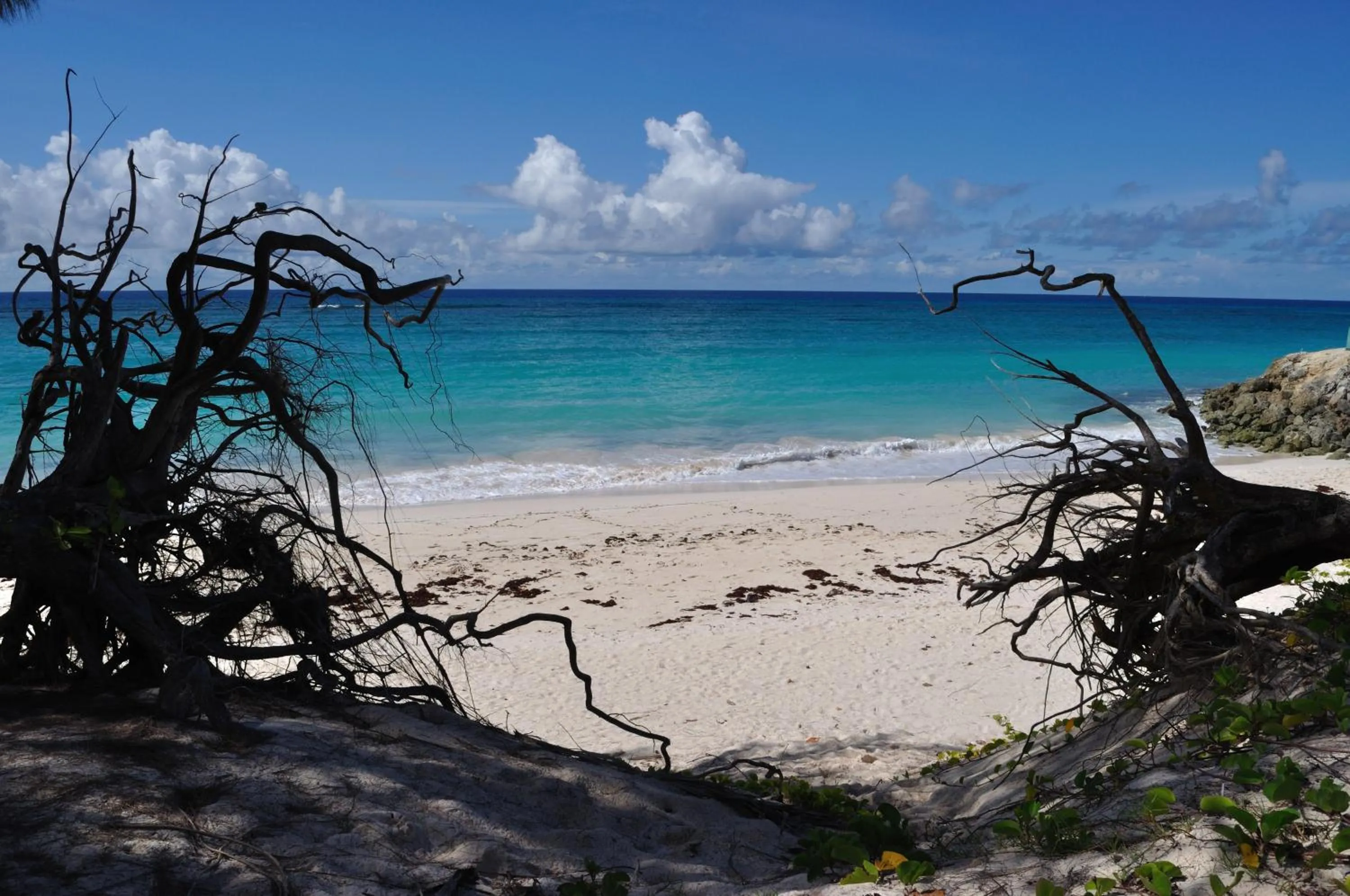 Beach in White Coconut Studio