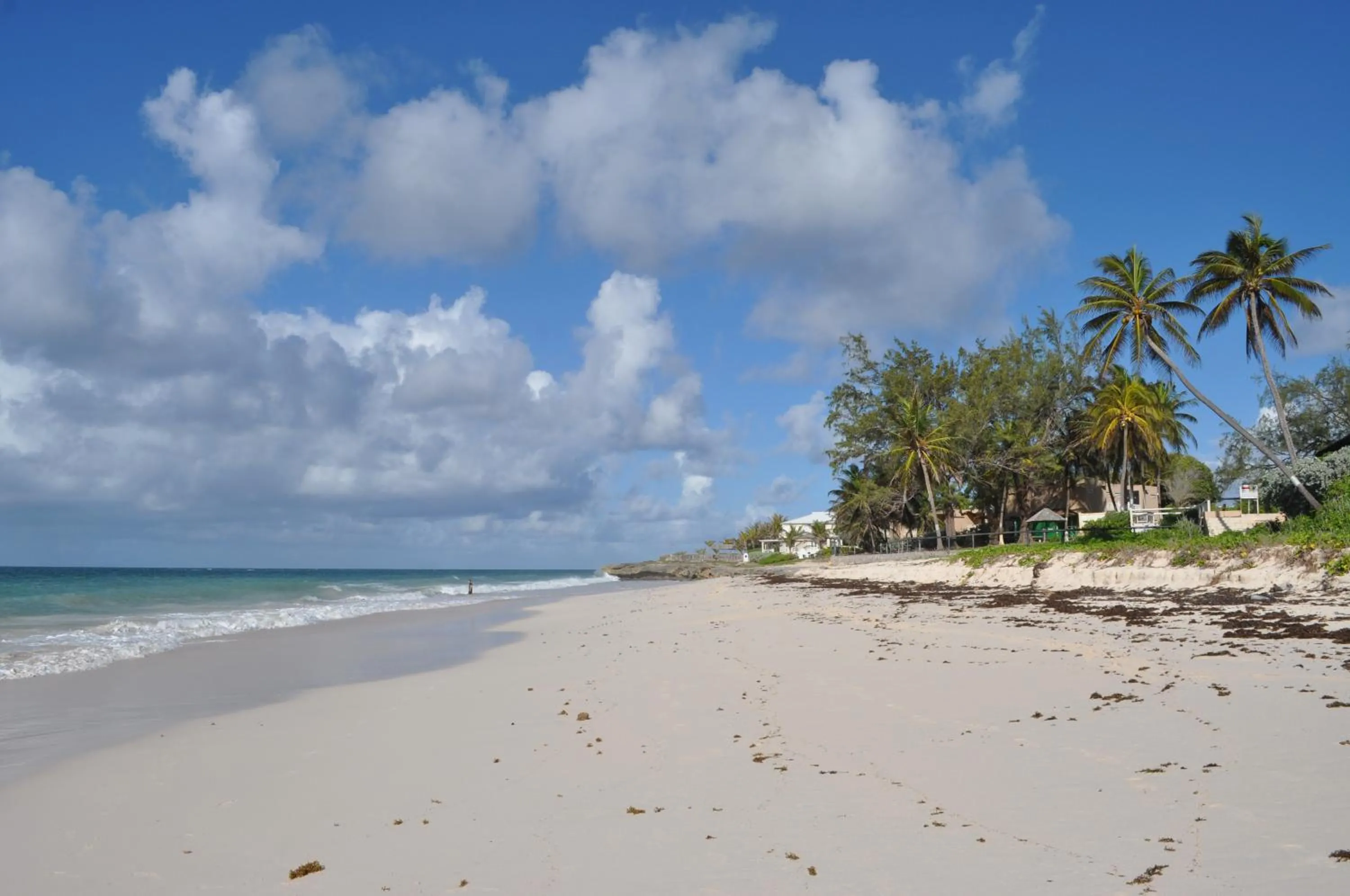 Beach in White Coconut Studio