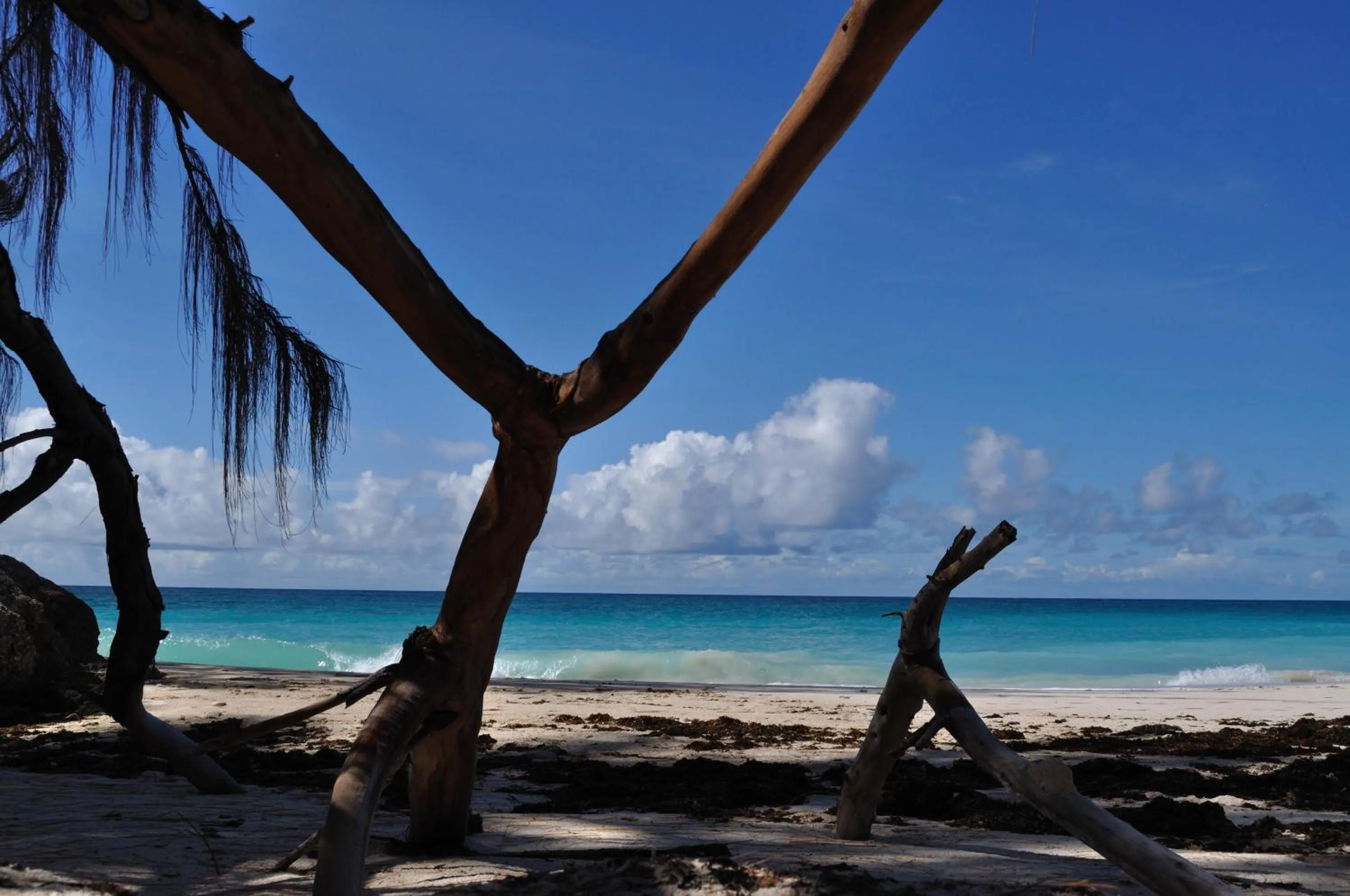 Beach in White Coconut Studio