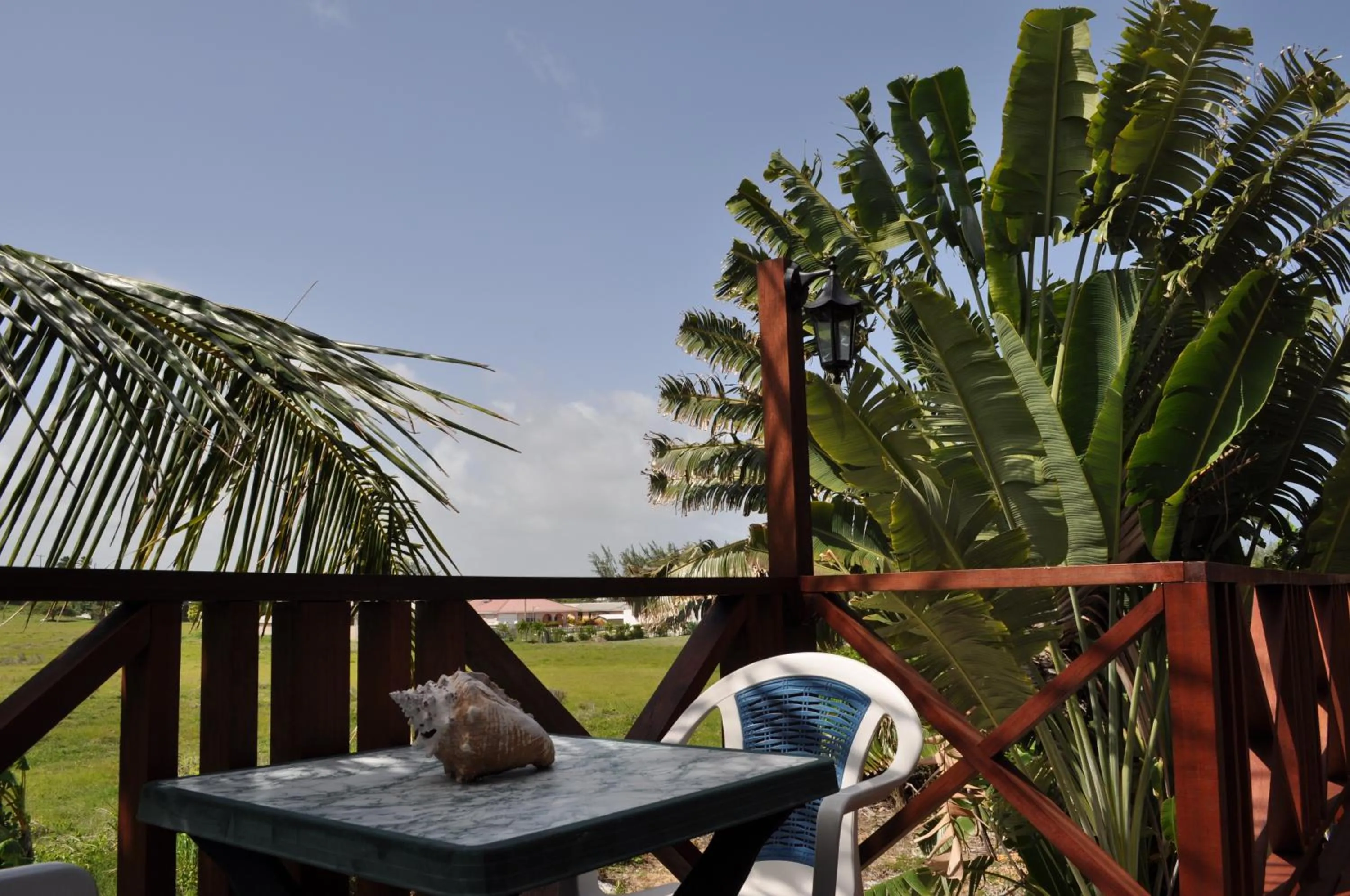 Balcony/Terrace in White Coconut Studio