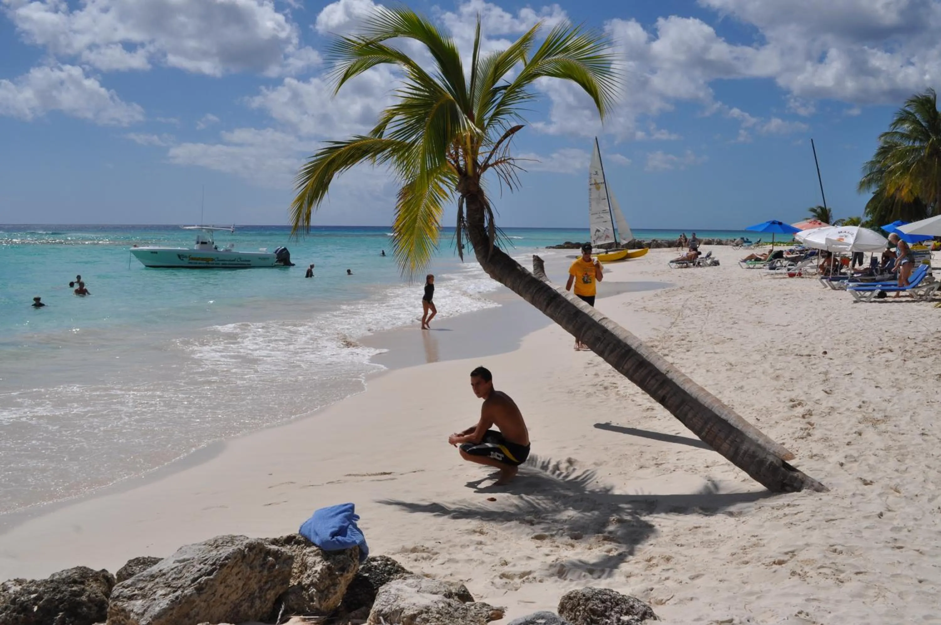Beach in White Coconut Studio
