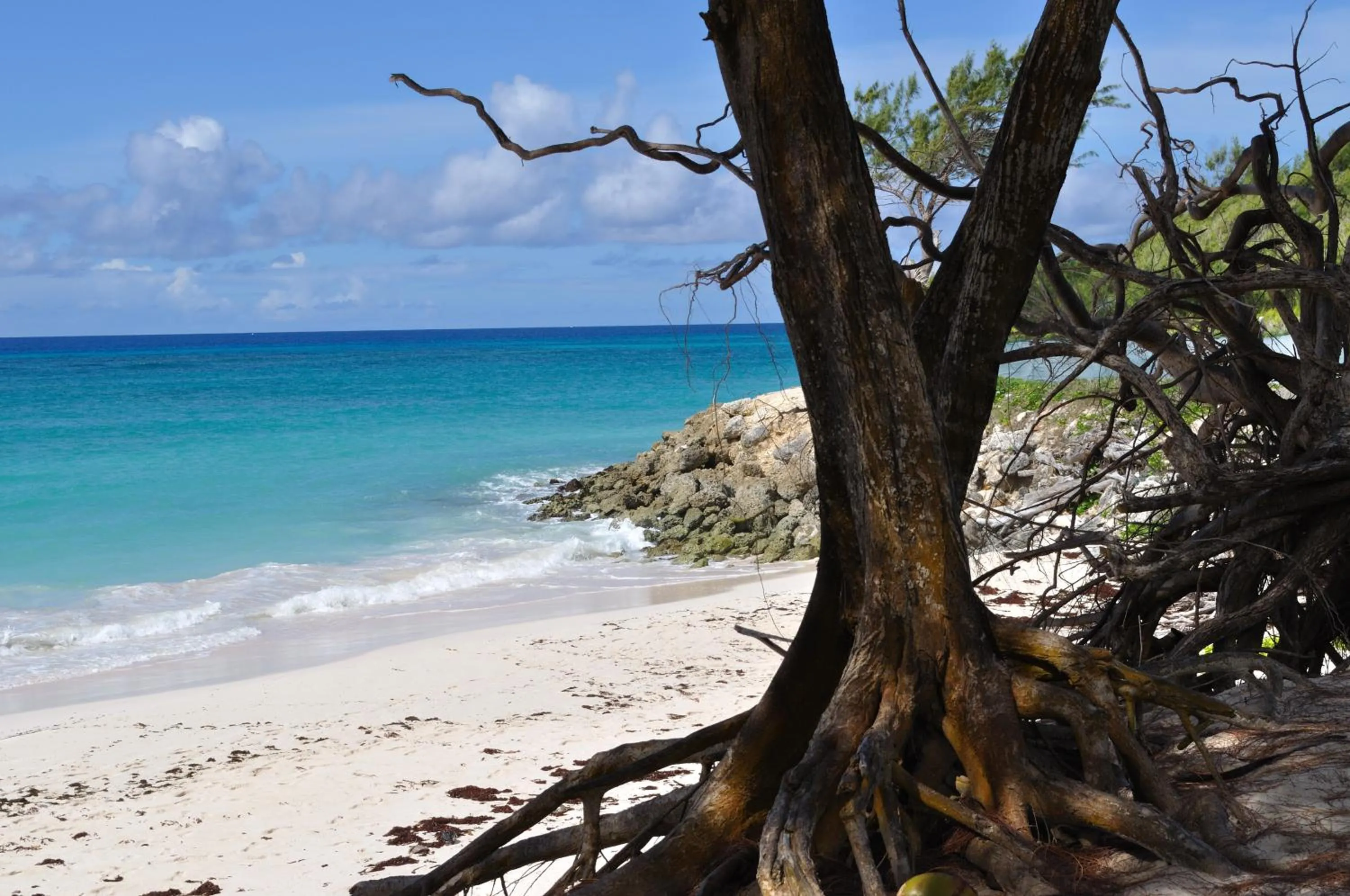 Beach in White Coconut Studio
