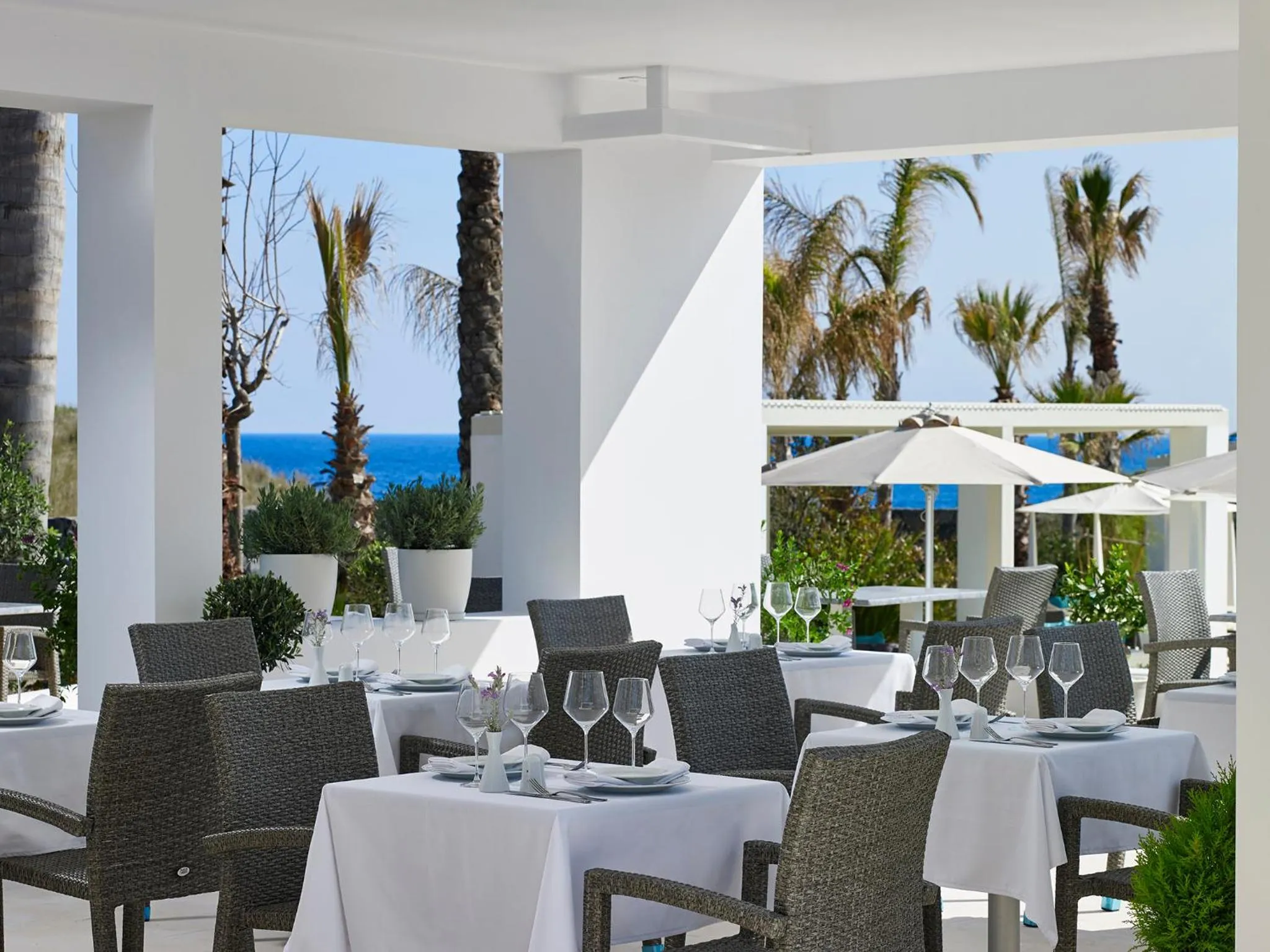 Restaurant/places to eat in Aurora Santorini