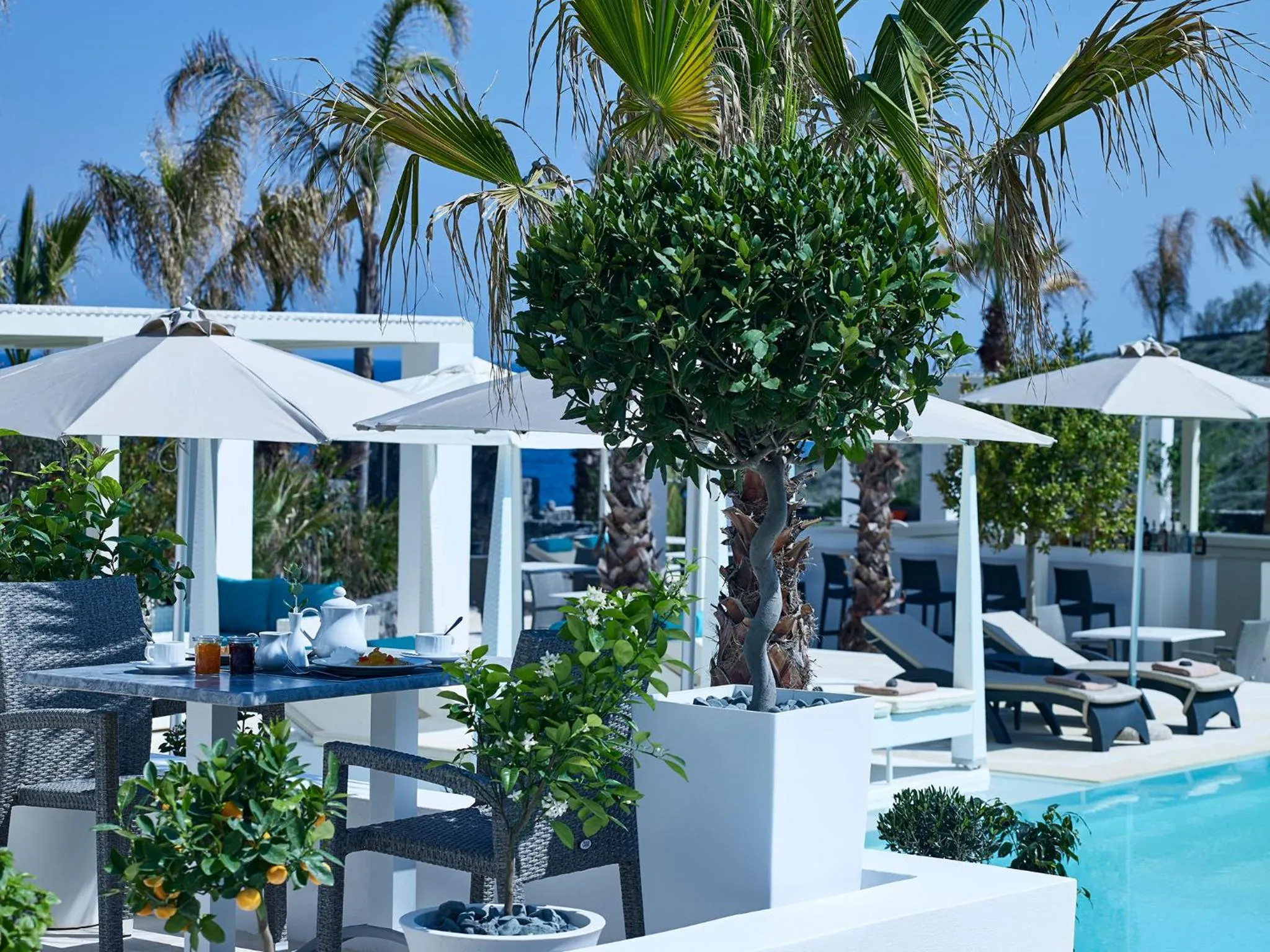 Garden in Aurora Santorini