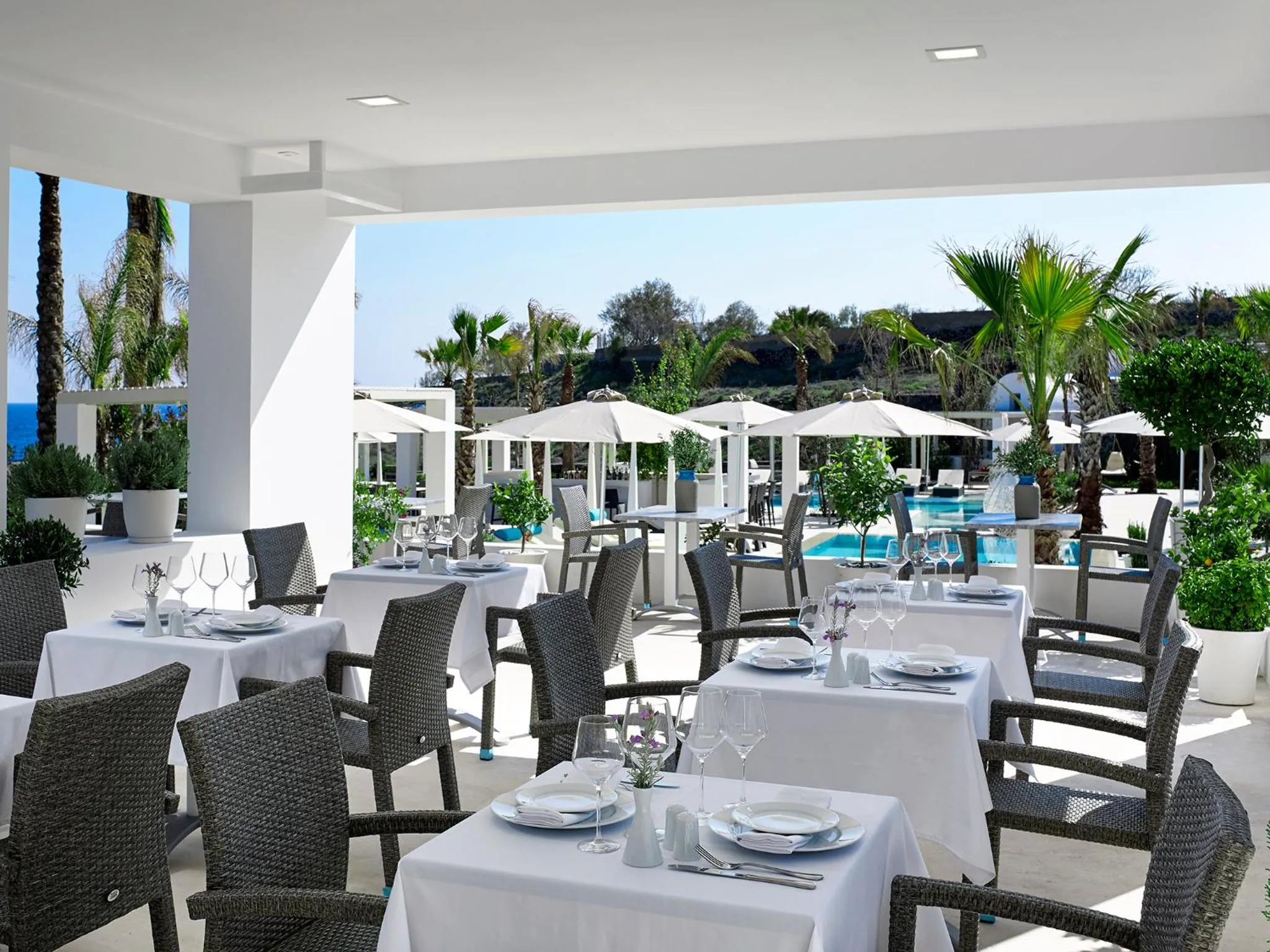 Restaurant/places to eat in Aurora Santorini