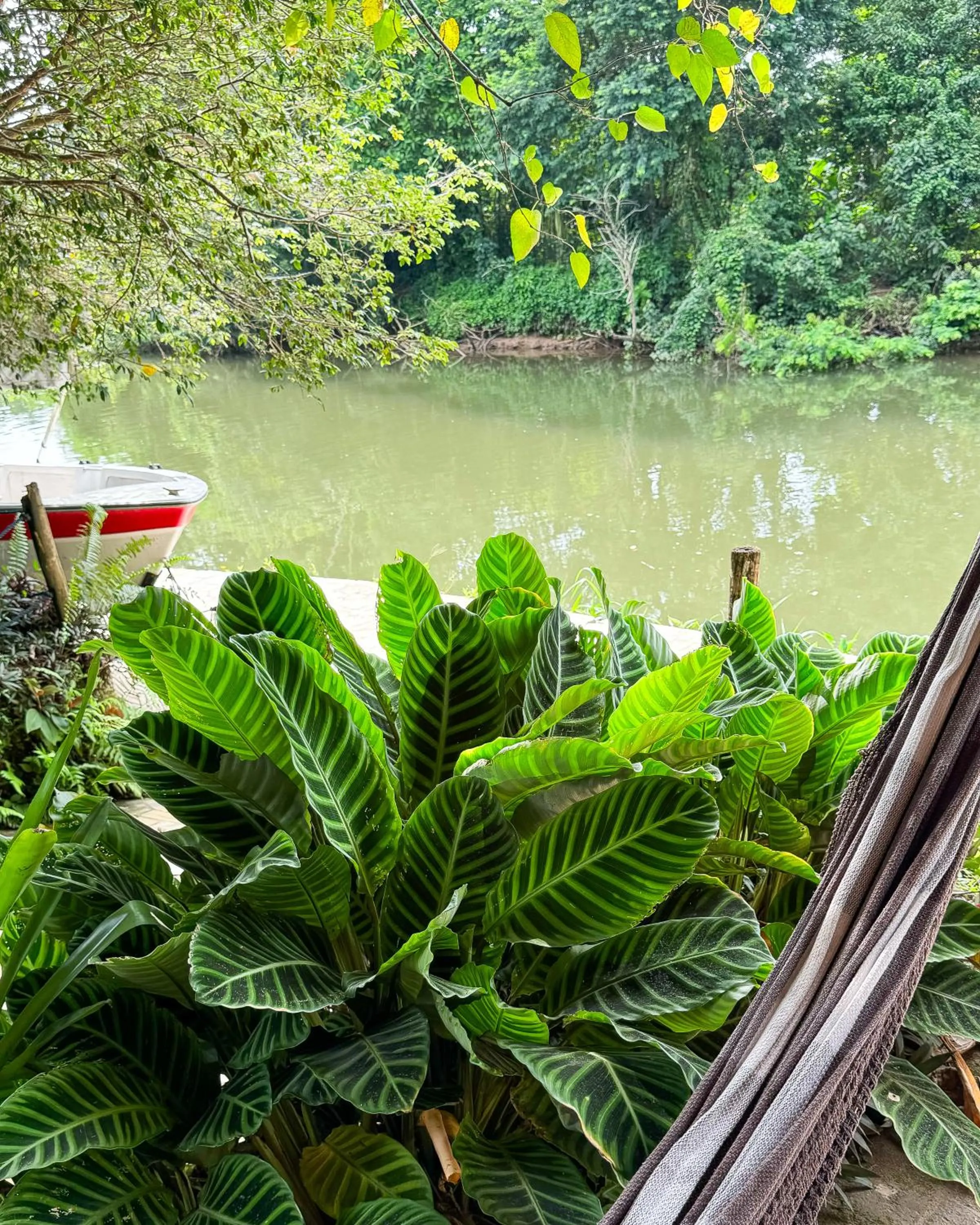 River view in Pousada Rumo dos Ventos