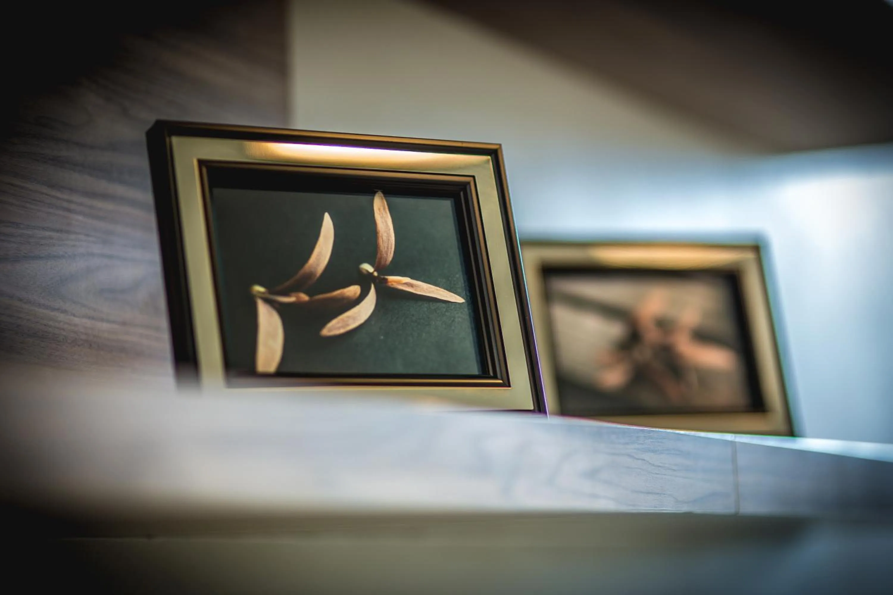 Decorative detail in Hyde Park Chiangmai