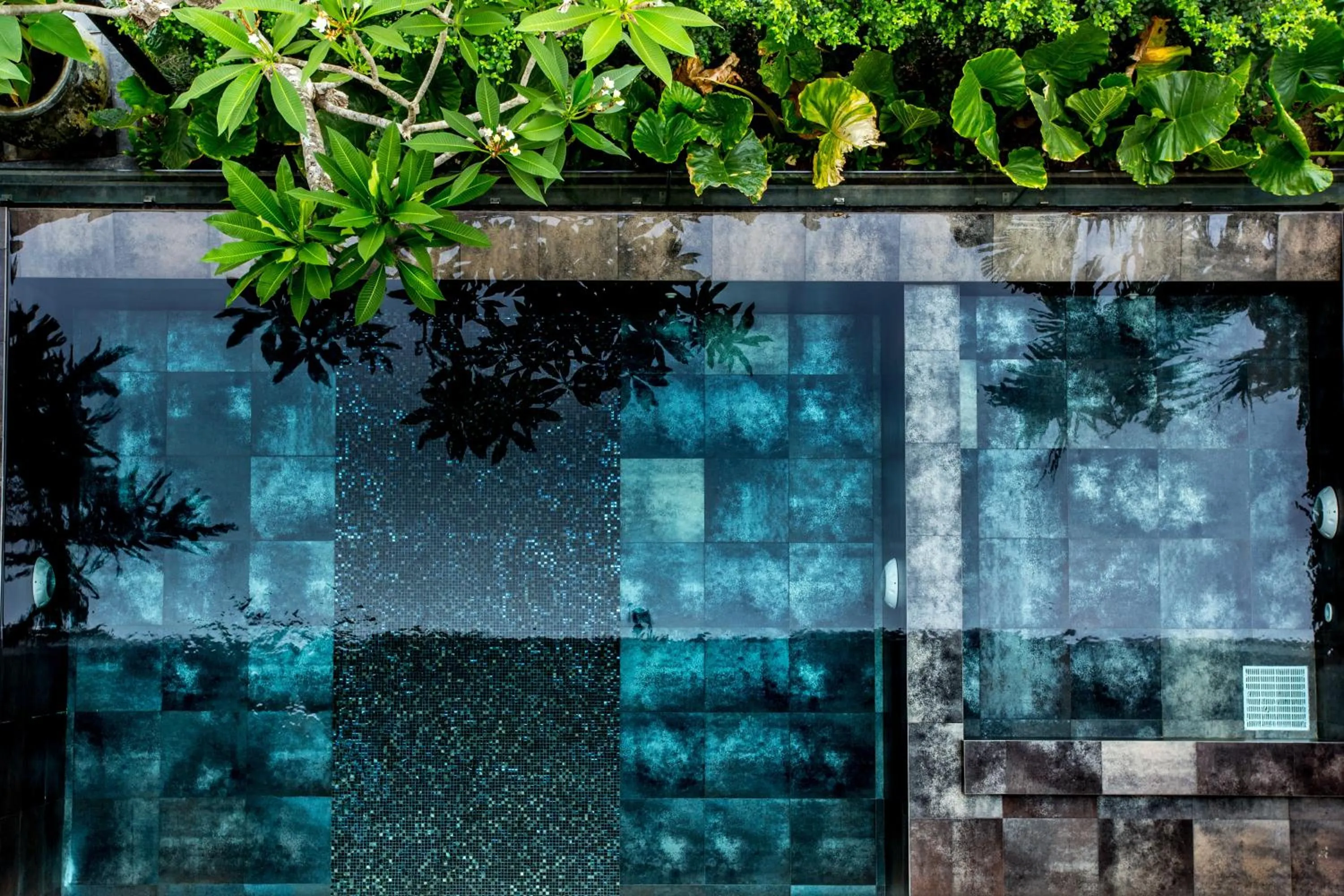 Swimming pool in Hyde Park Chiangmai