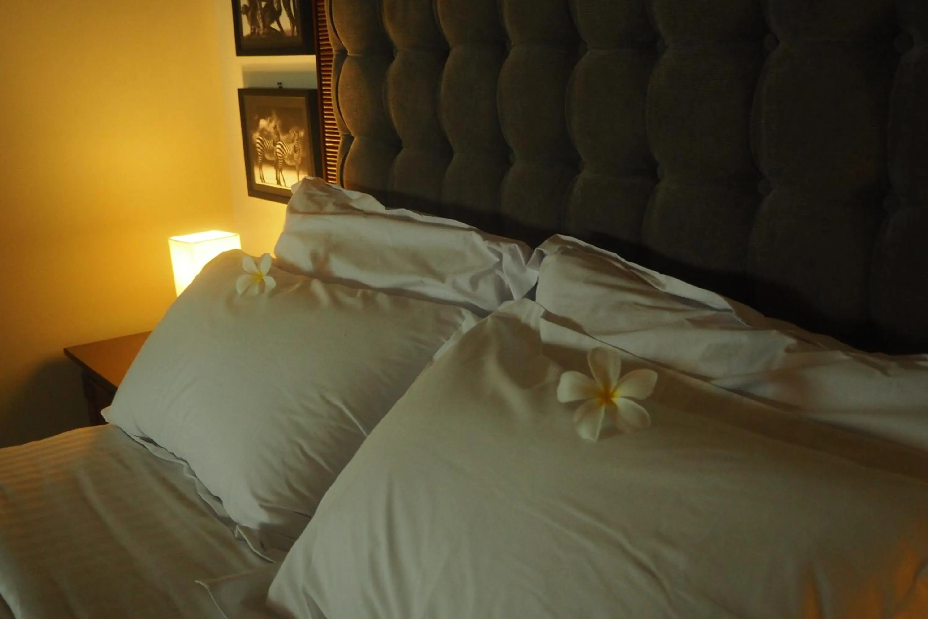 Area and facilities, Bed in The Gecho Inn Country