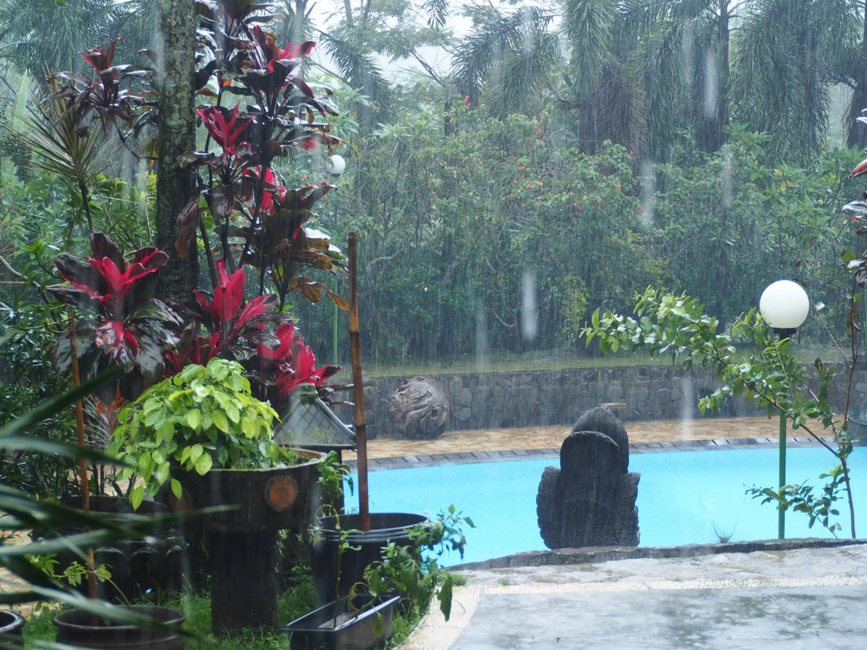 Pool view in The Gecho Inn Country