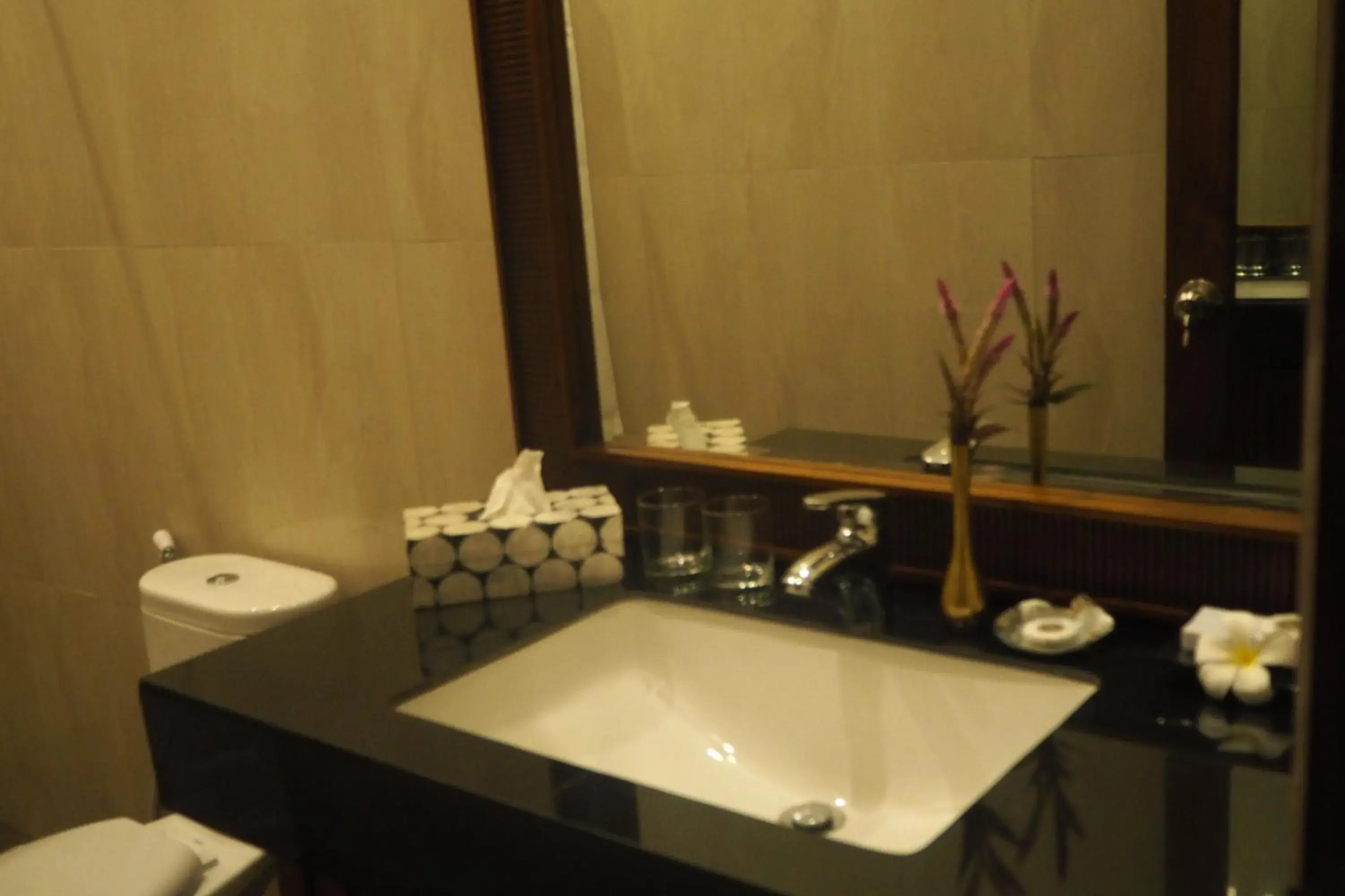 Bathroom in The Gecho Inn Country Bathroom in The Gecho Inn Country