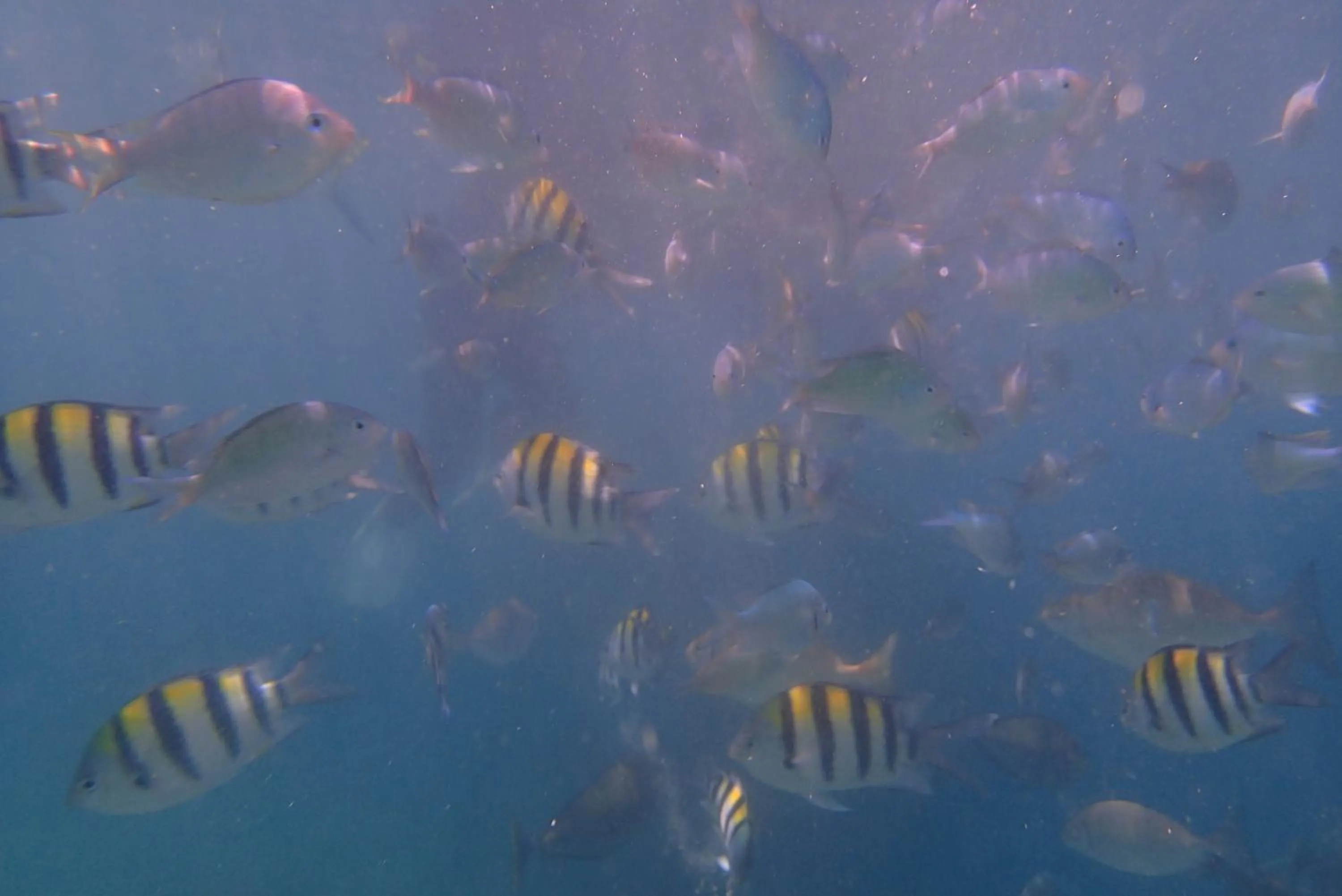 Fishing in Silver Fern Beach Retreat