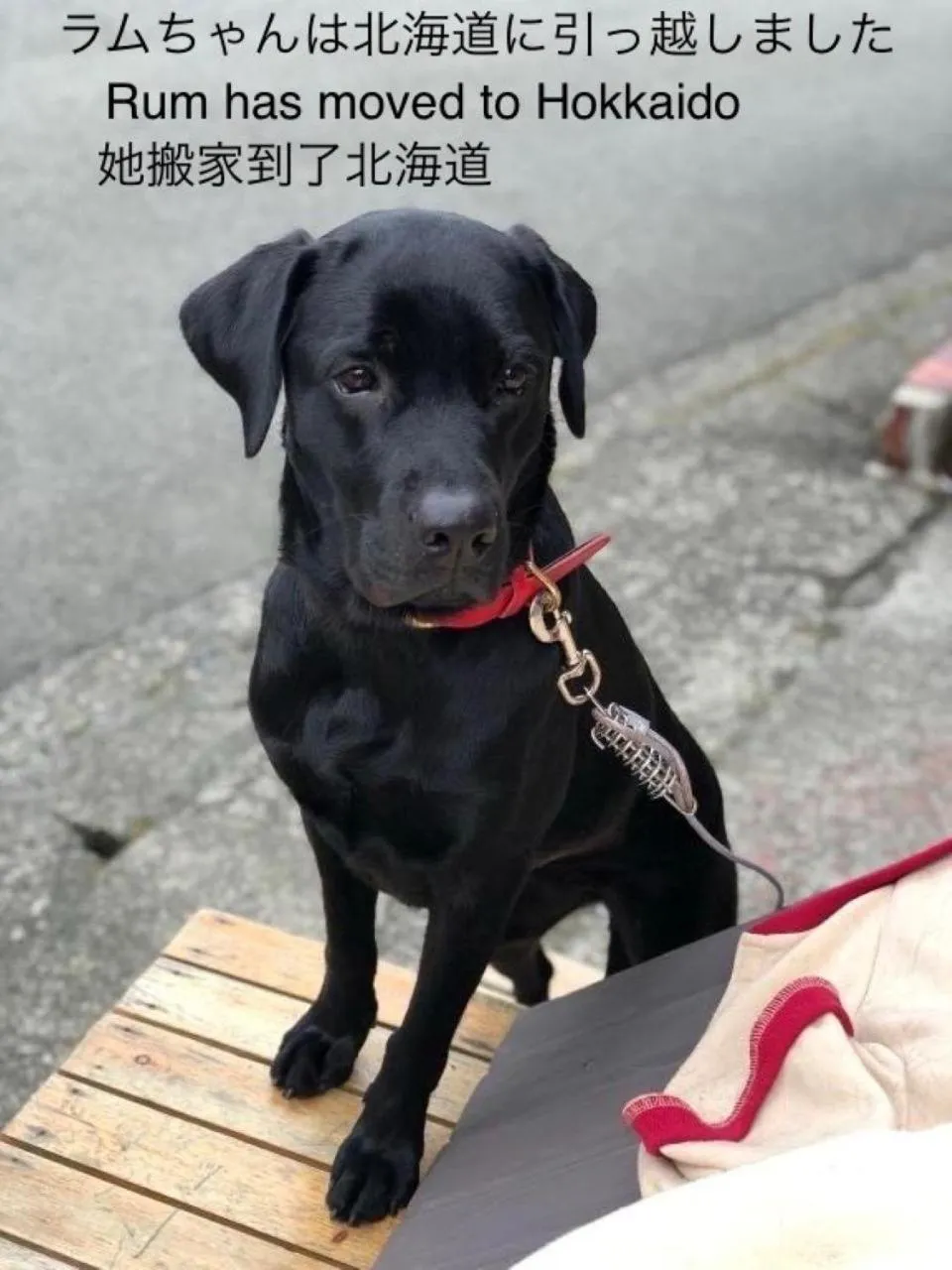 Hakone Guesthouse Toi