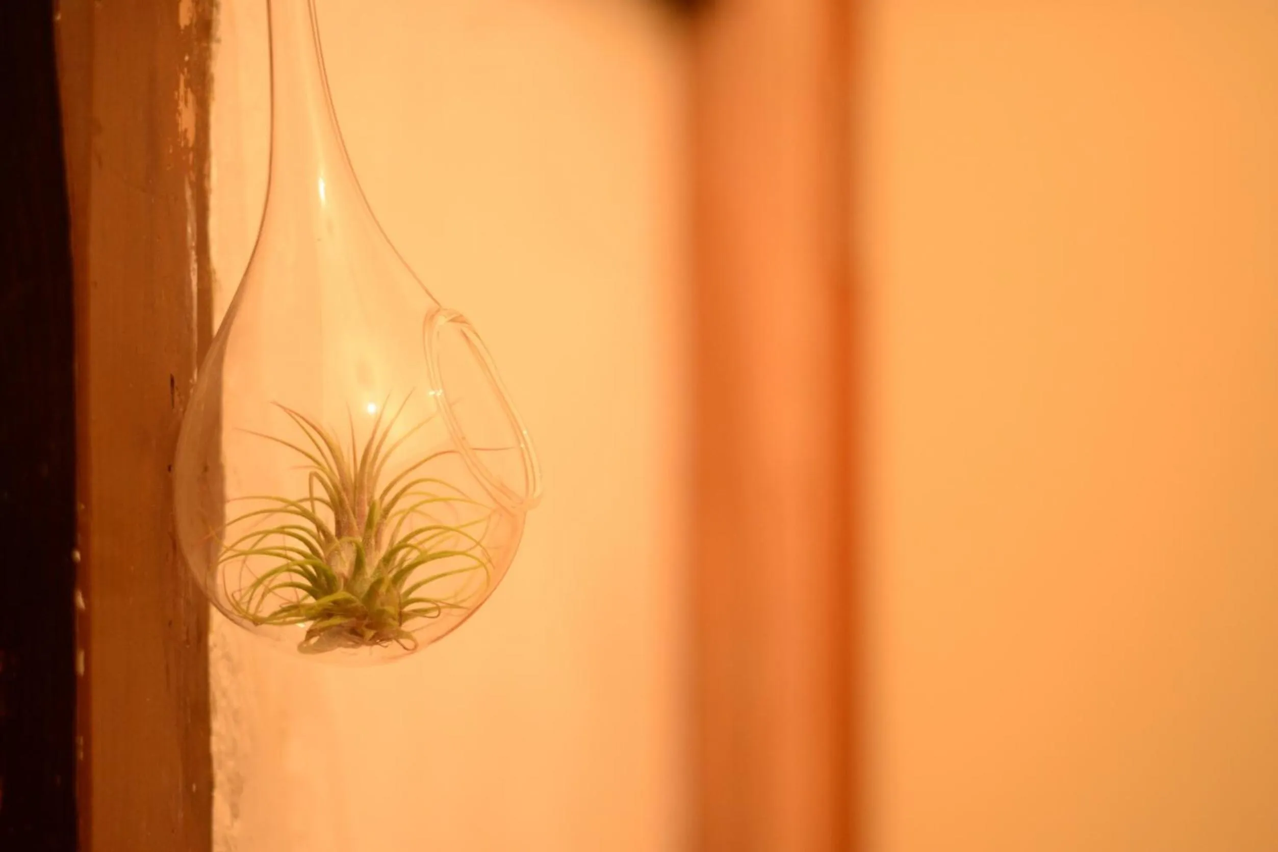 Decorative detail in Hakone Guesthouse Toi