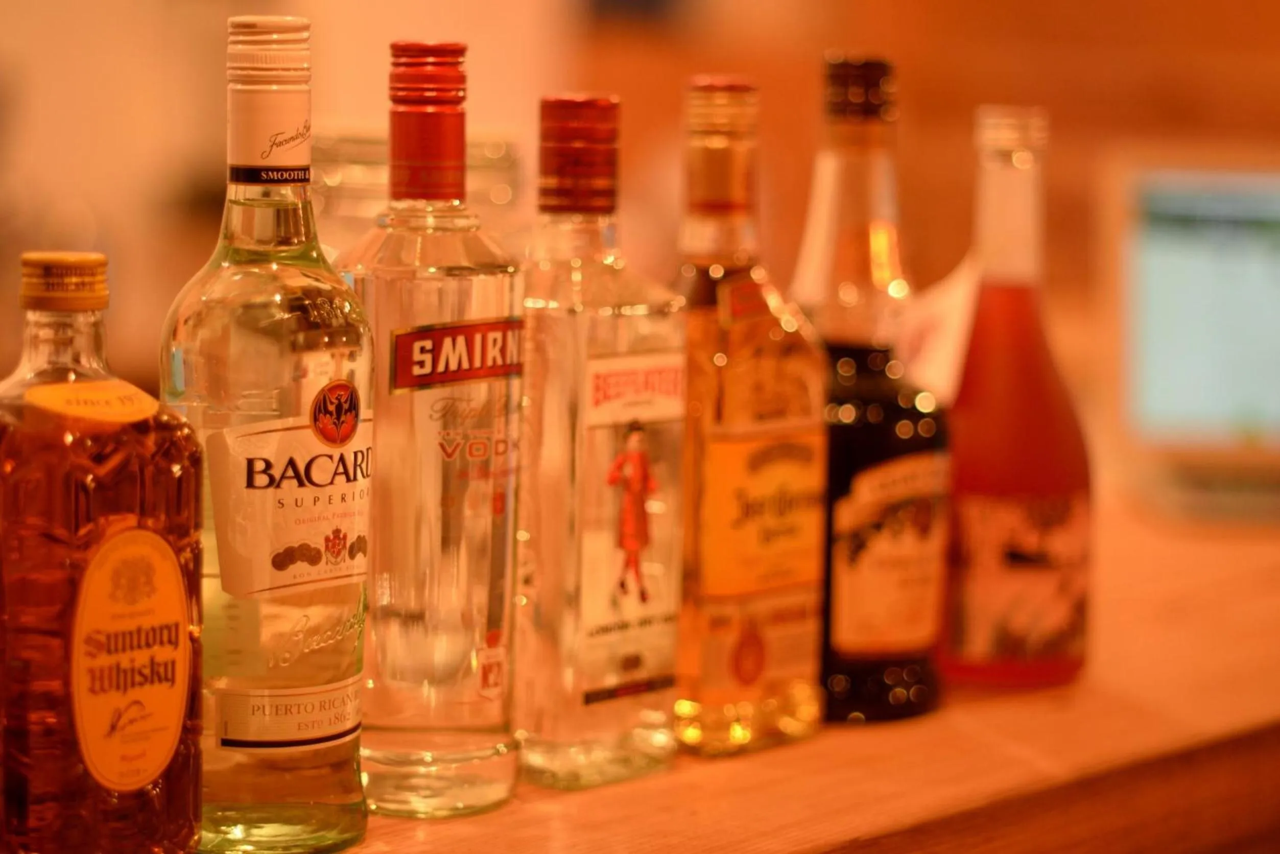 Alcoholic drinks in Hakone Guesthouse Toi