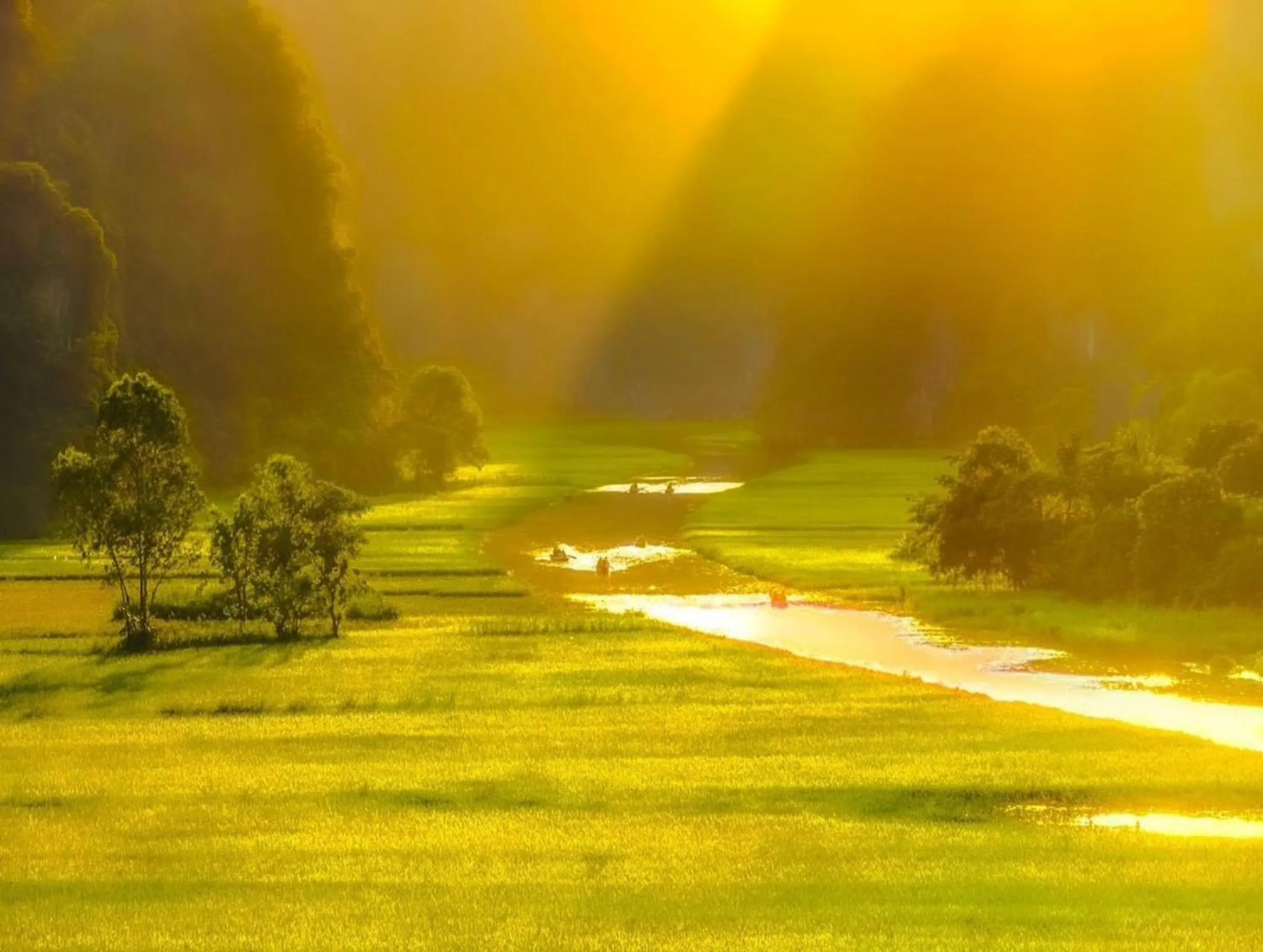 La Belle Vie Tam Coc Homestay