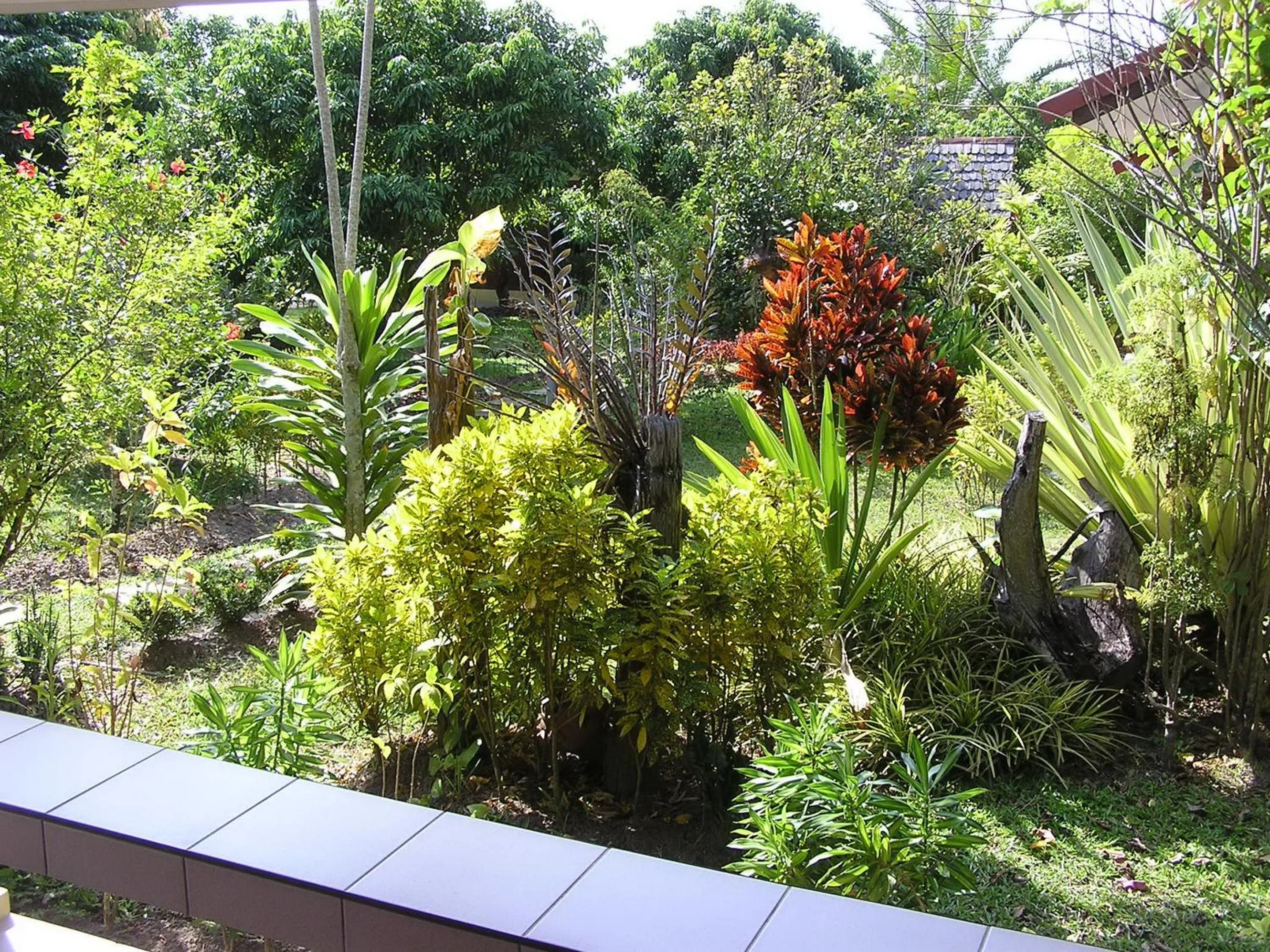 Garden view in Khoom Kam Kaew