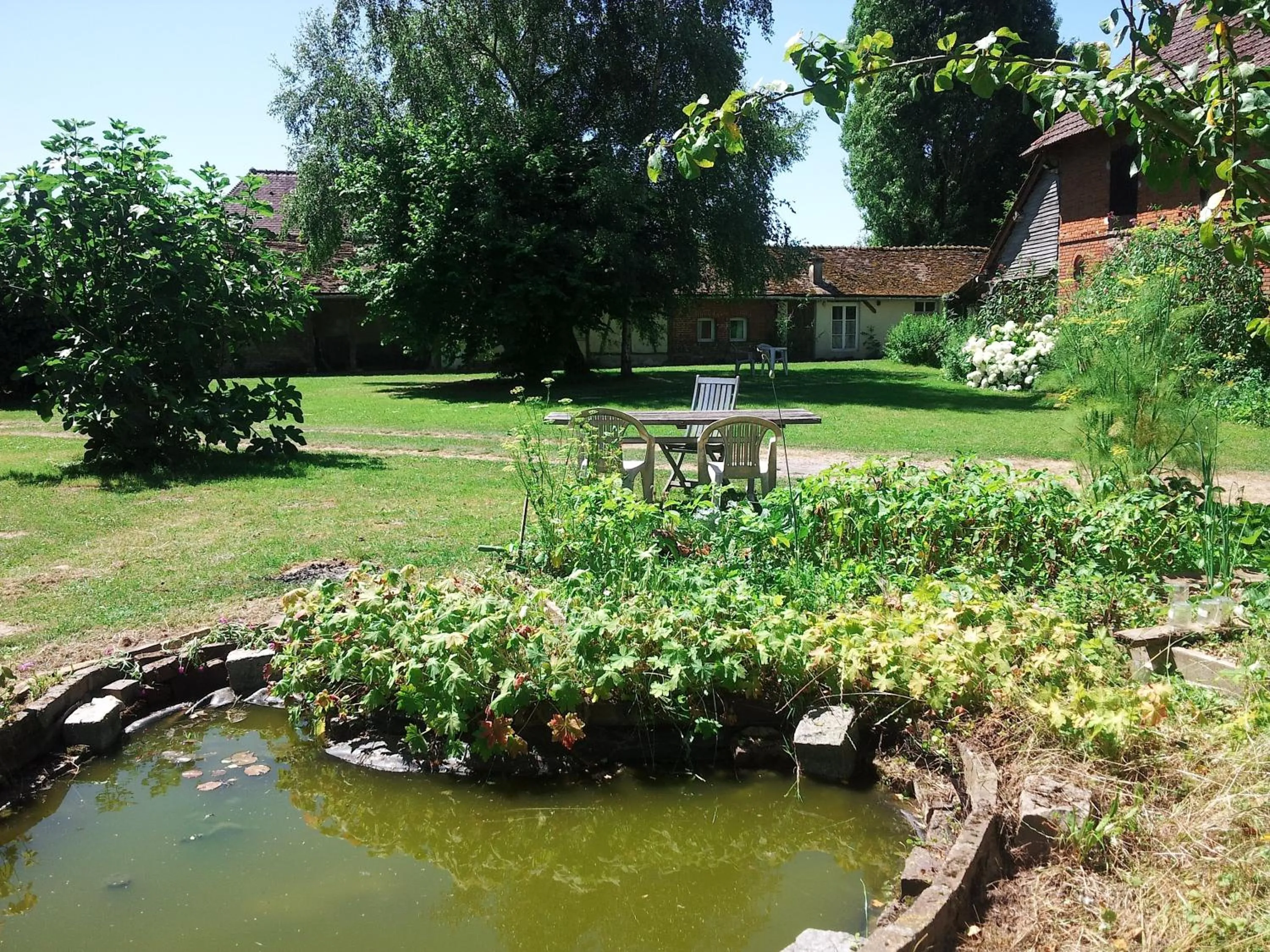 Garden view in Gîte Le Salon de Musique