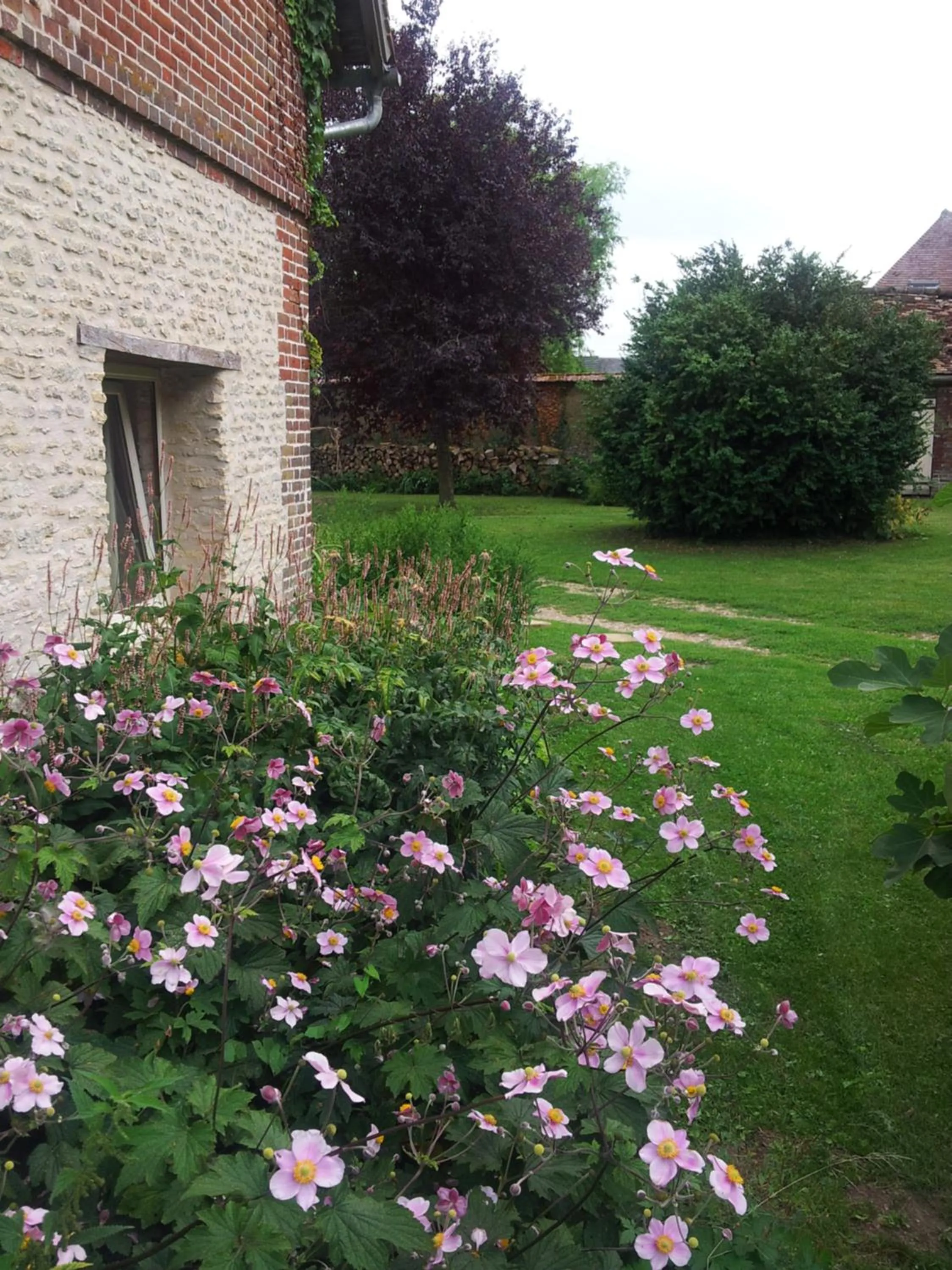 Garden in Gîte Le Salon de Musique