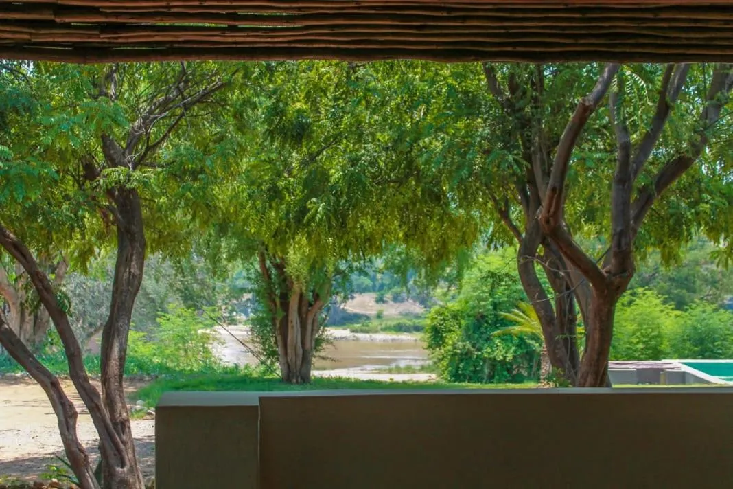 Garden view in Three Bridges B&B