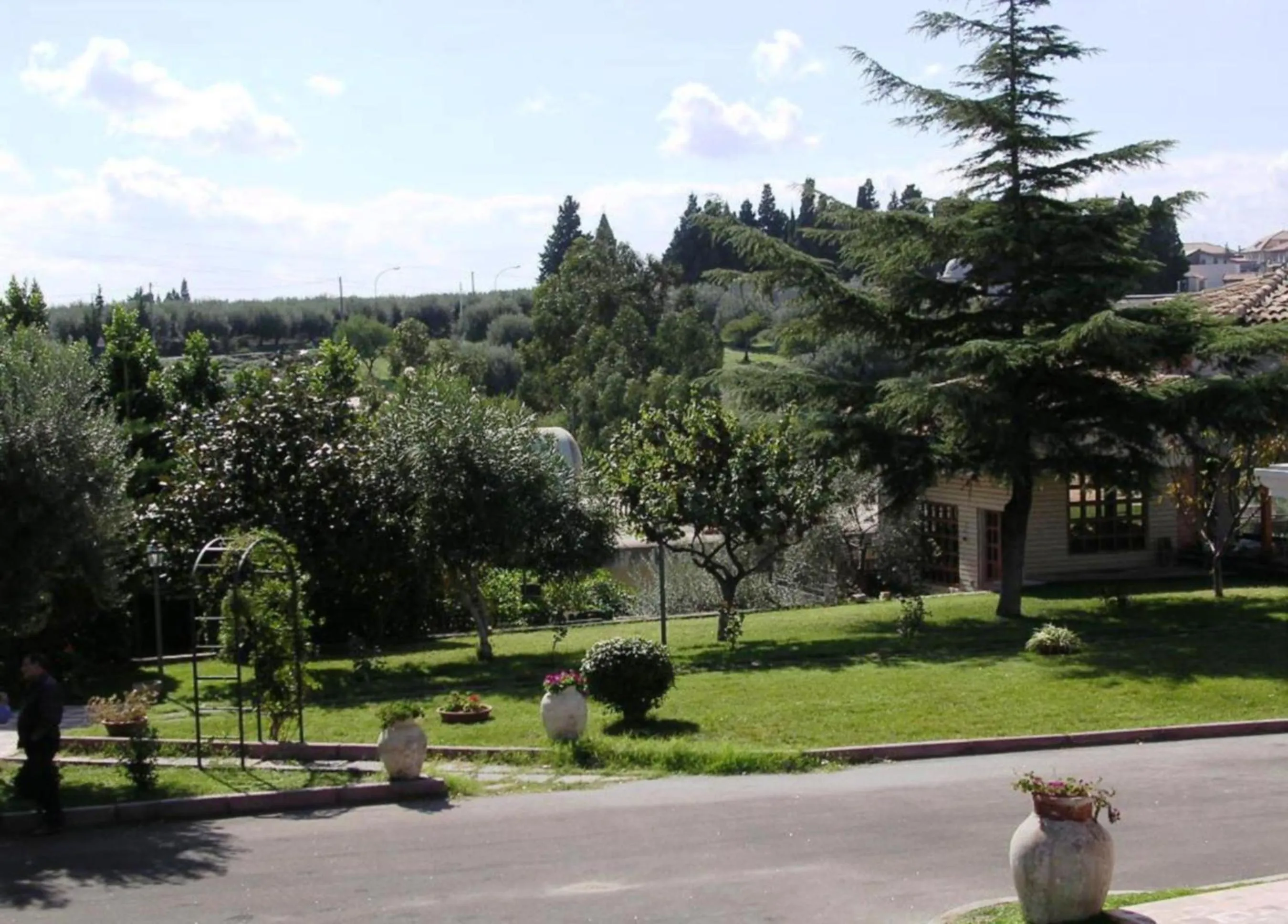 Garden in Valle Degli Ulivi