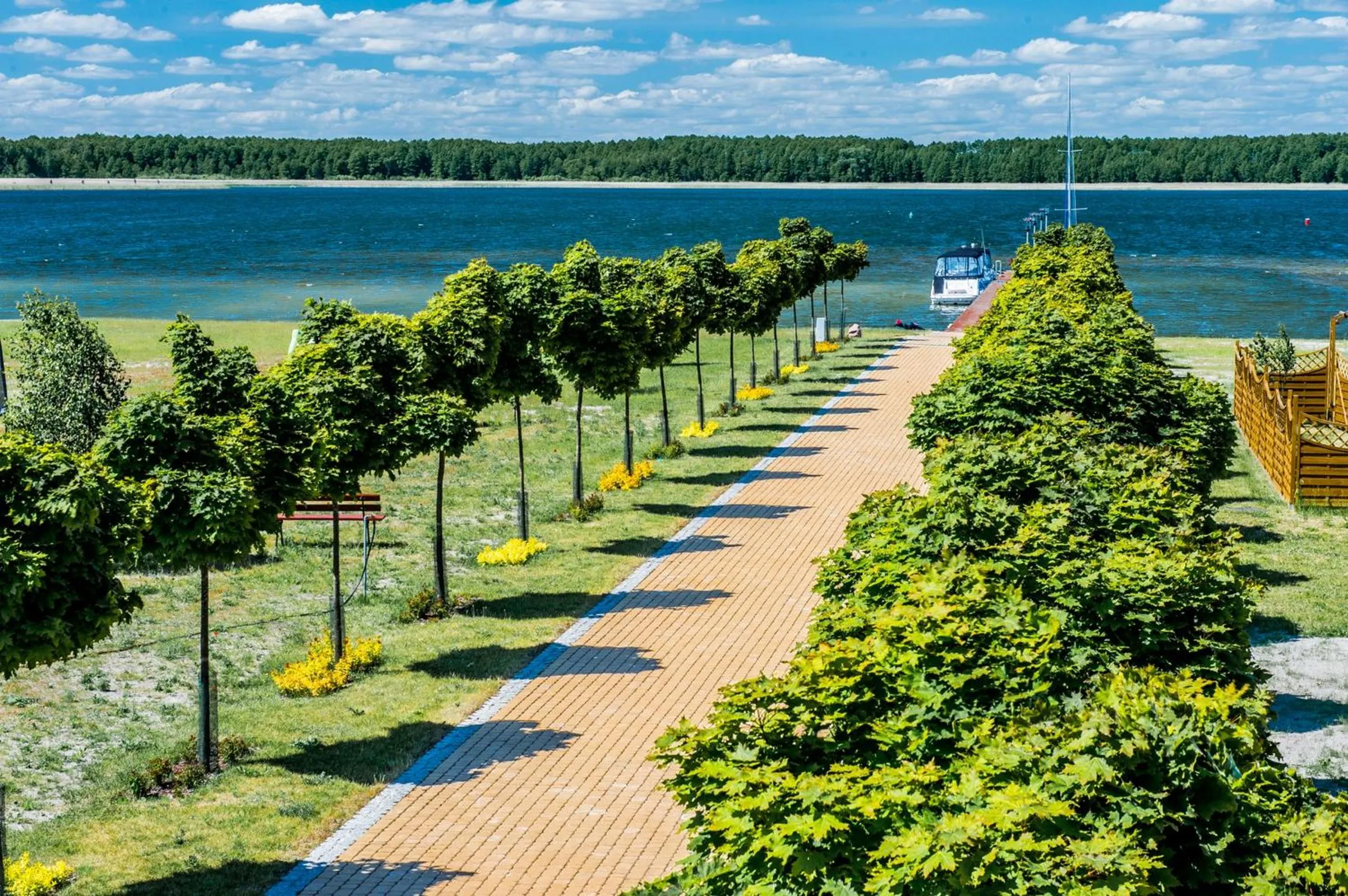 Photo of the whole room in Aparthotel EuforiaPort