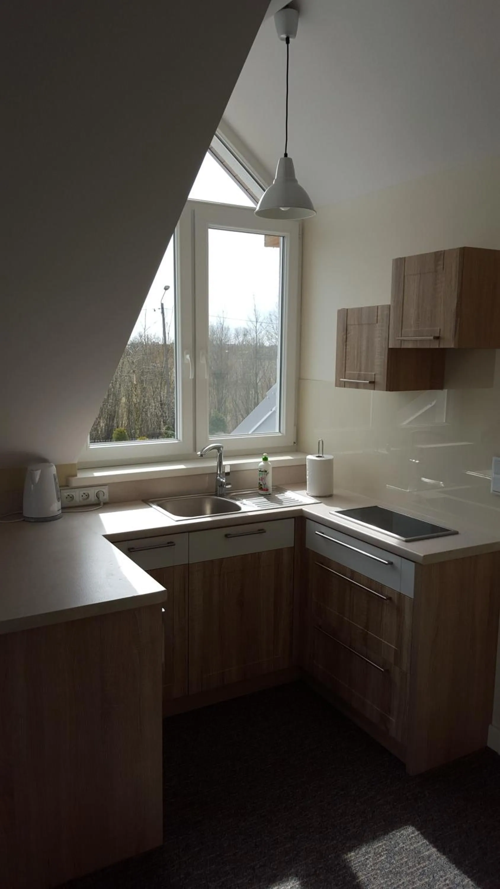 Photo of the whole room in Aparthotel EuforiaPort