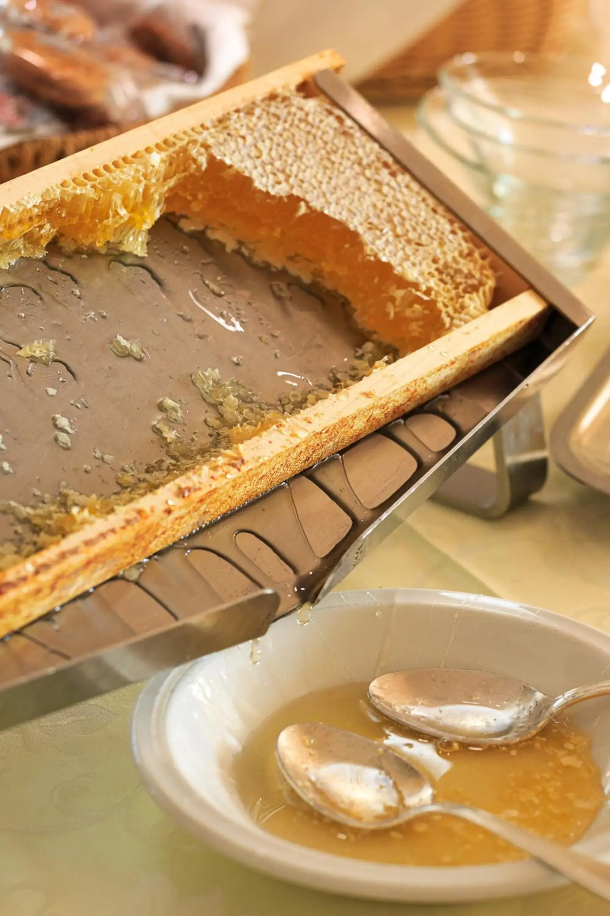 Breakfast in LVG Hotel Collection - Grand Hotel Mediterranee Breakfast in LVG Hotel Collection - Grand Hotel Mediterranee