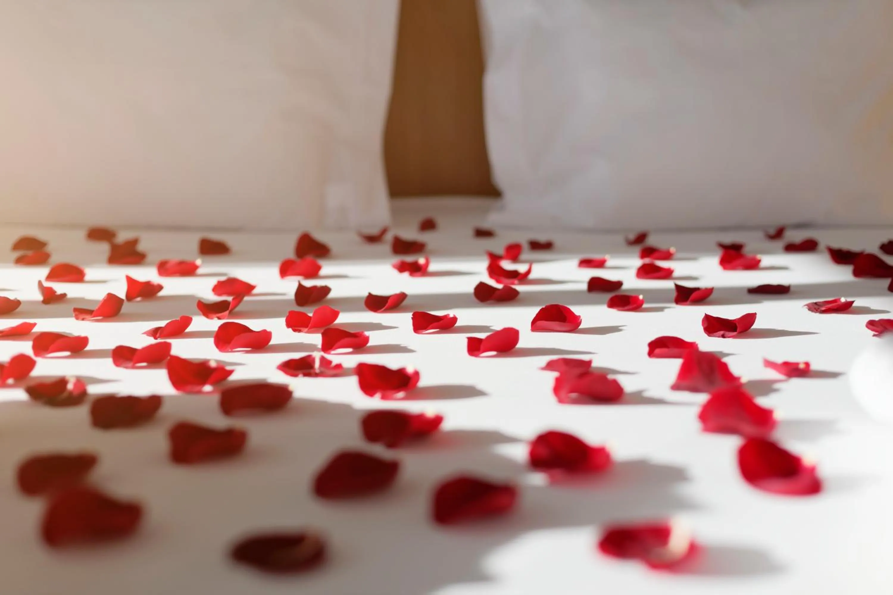 Decorative detail in Mercure Lisboa Almada