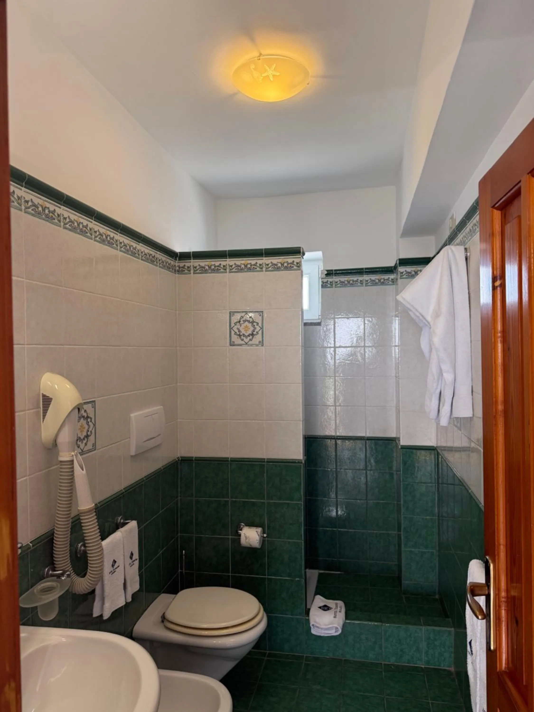 Shower in Hotel Tesoriero