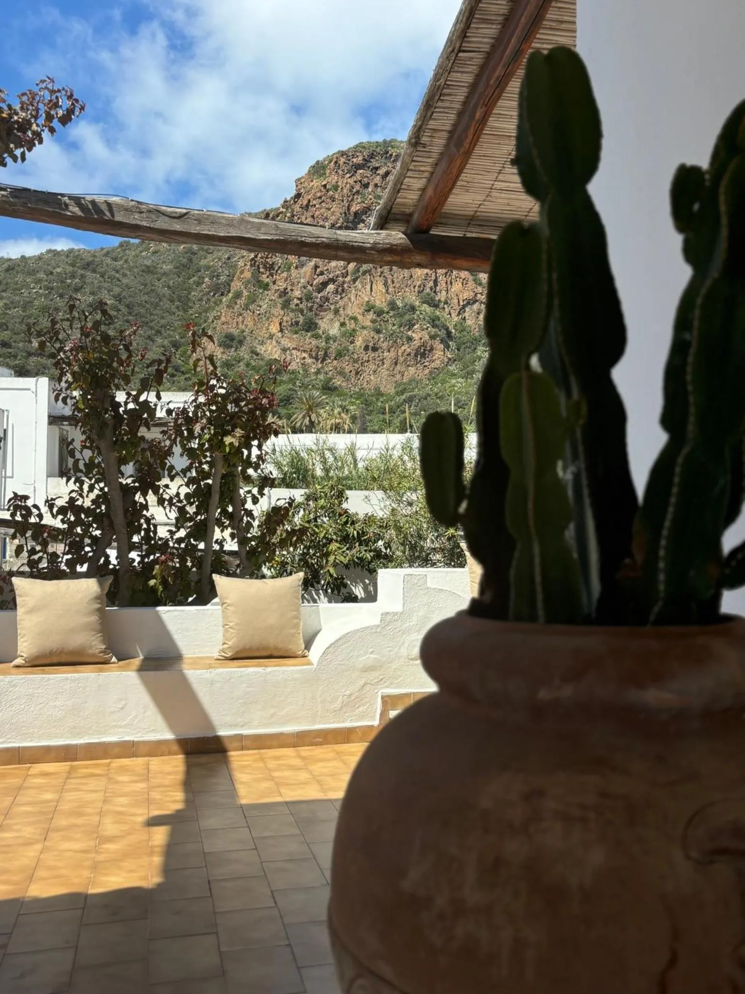 Garden in Hotel Tesoriero