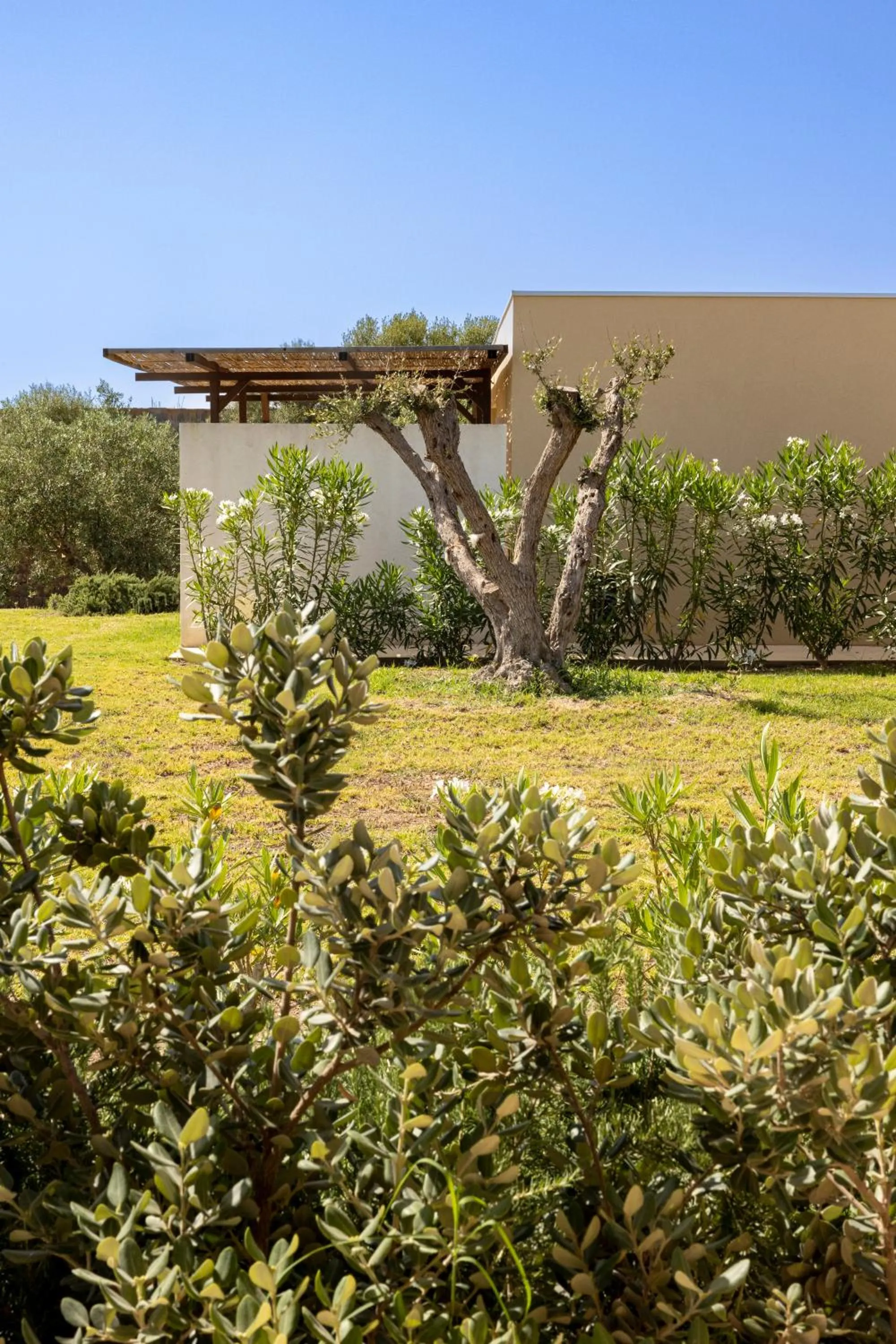 Property building in Agua Green Resort