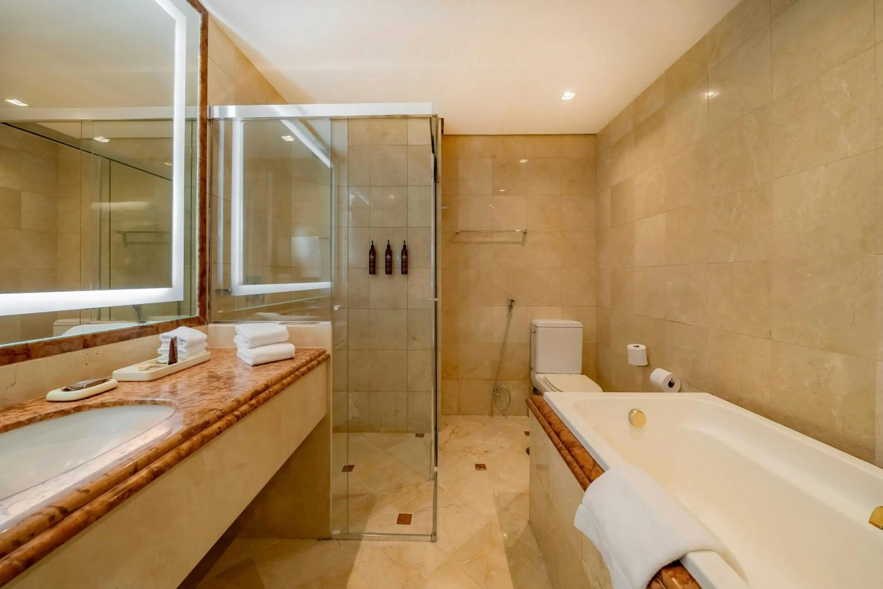 Bathroom in Sheraton São Paulo WTC Hotel