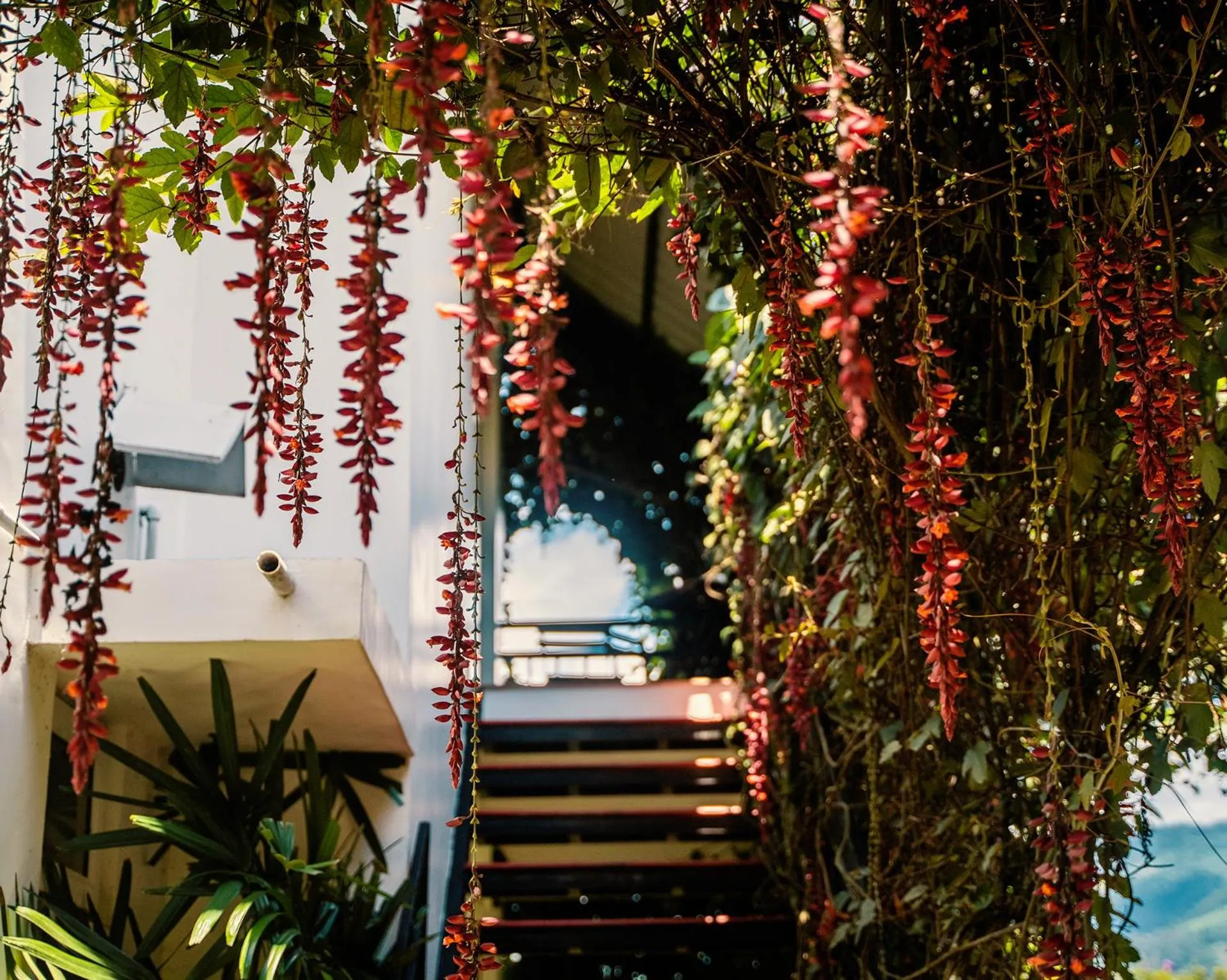Facade/entrance in The Leaf Munnar